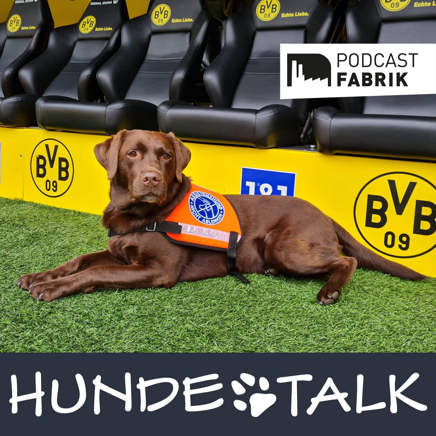 HUNDETALK - Dein Hunderunde-Podcast
