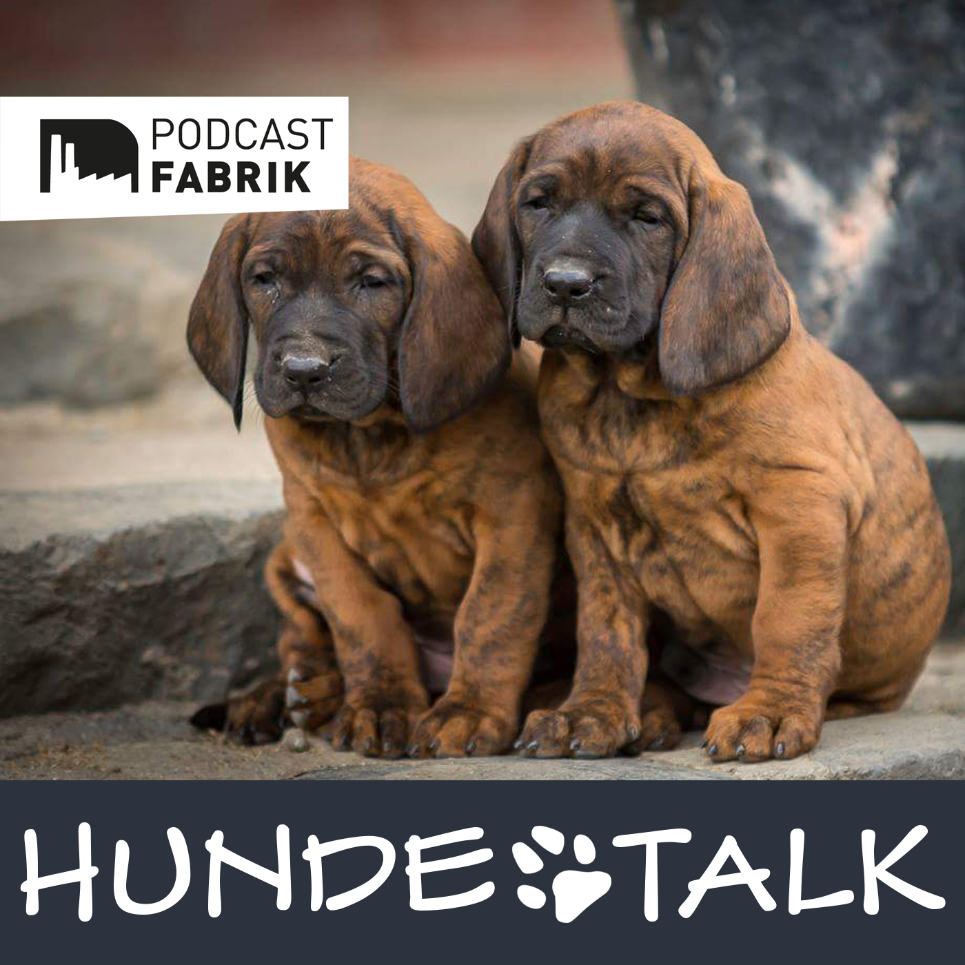 HUNDETALK - Dein Hunderunde-Podcast