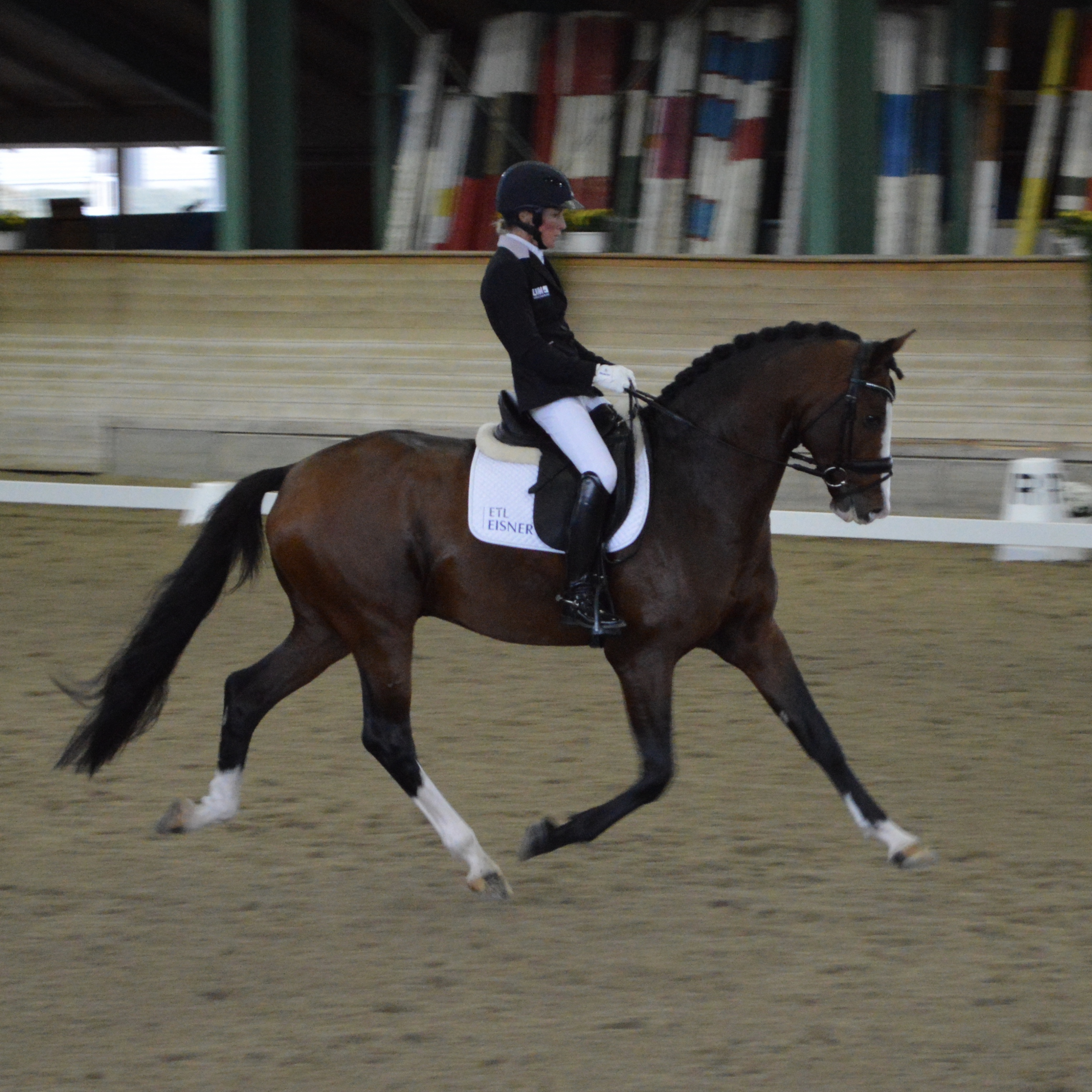 Pferdeverstand - Der Pferdesportpodcast