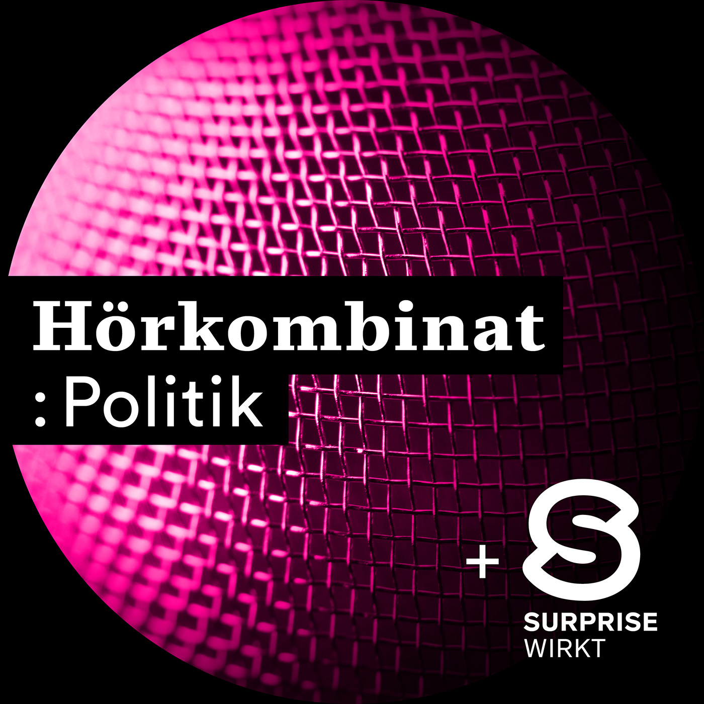 Hörkombinat :Politik