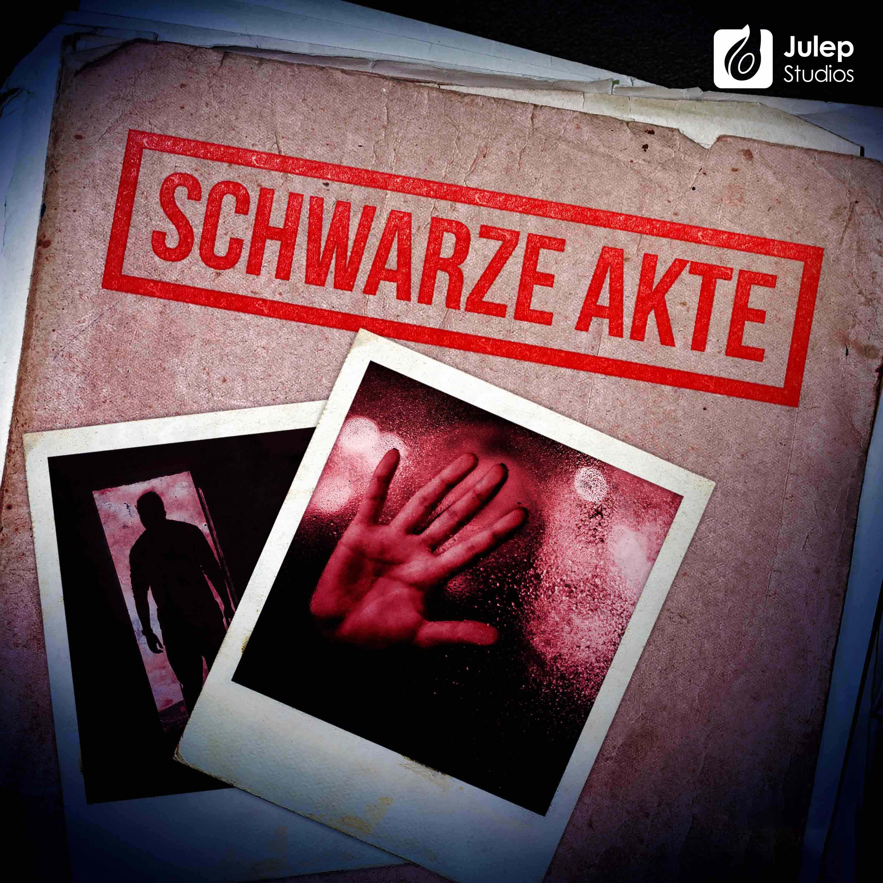 24 Verliebt Verlobt Verschwunden Wo Sind Henri Landrus Frauen Schwarze Akte True Crime Lyssna Har Poddtoppen Se