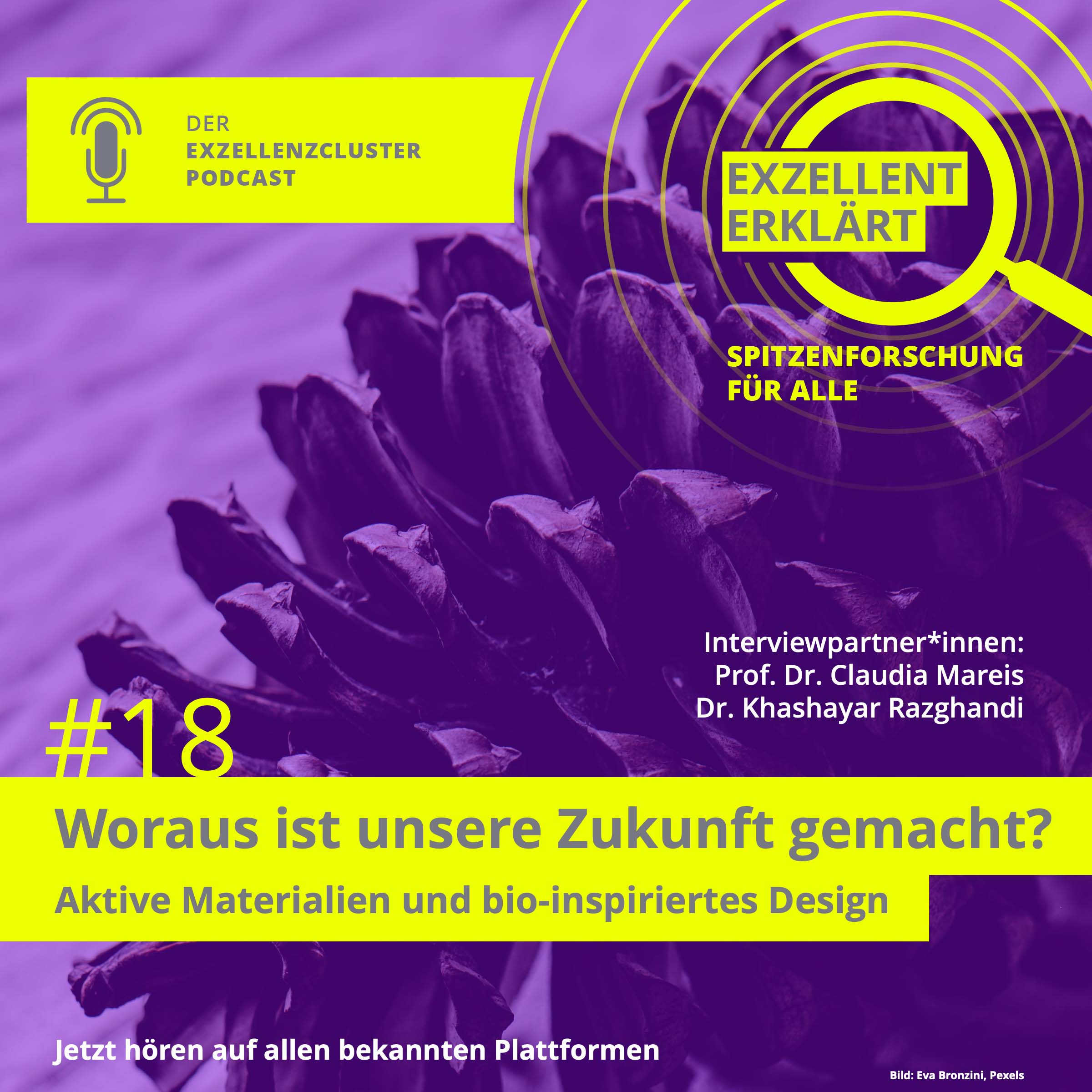 Exzellent erklärt - Spitzenforschung für alle