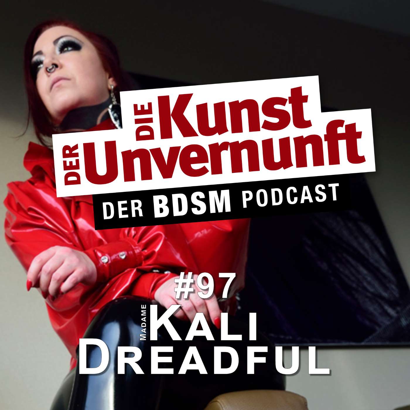 BDSM - Die Kunst der Unvernunft