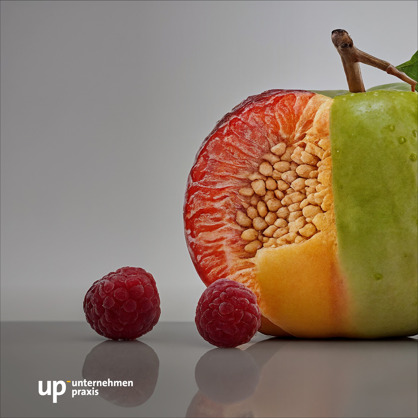 up-podcast – der Podcast rund um Therapie und Praxis