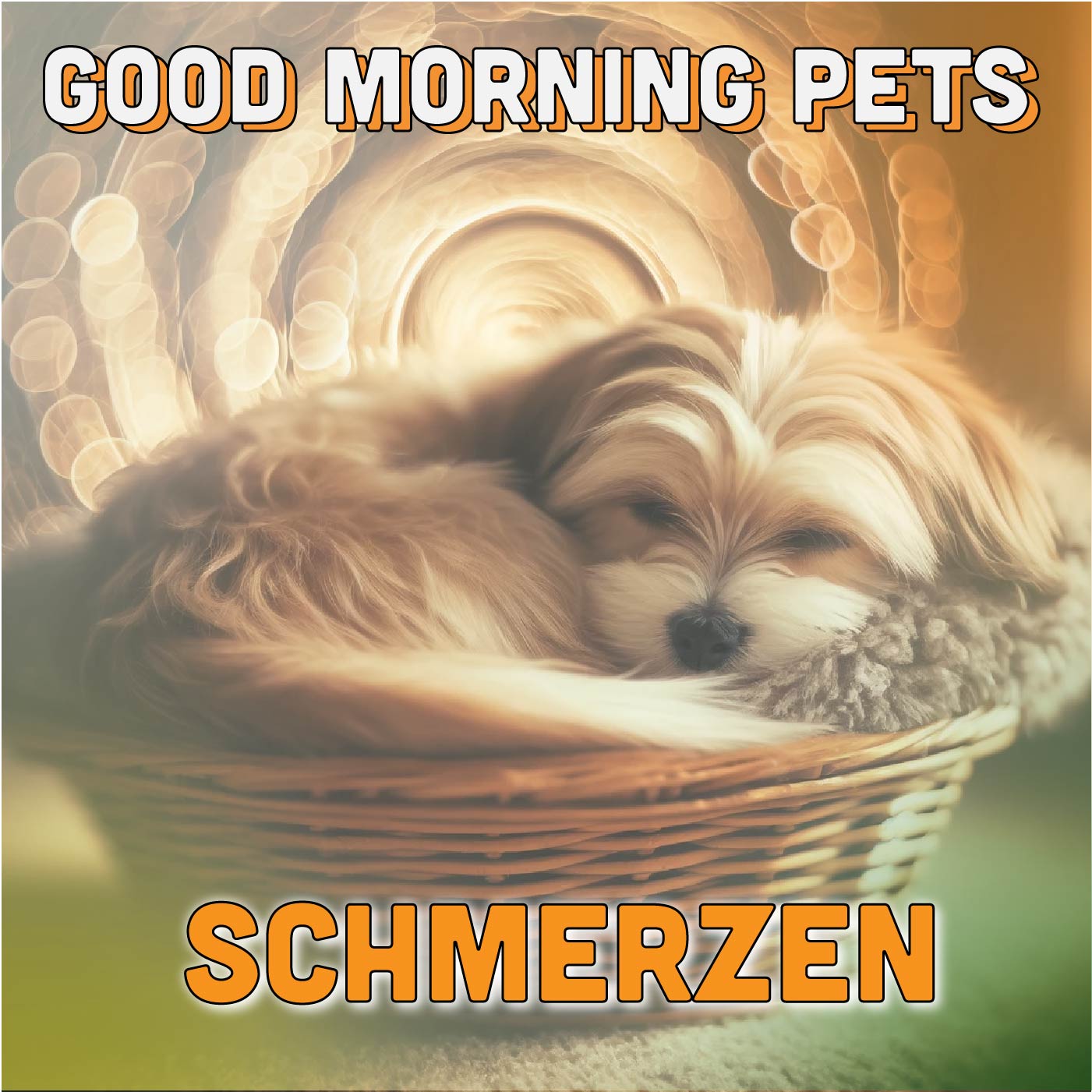 Good Morning Pets