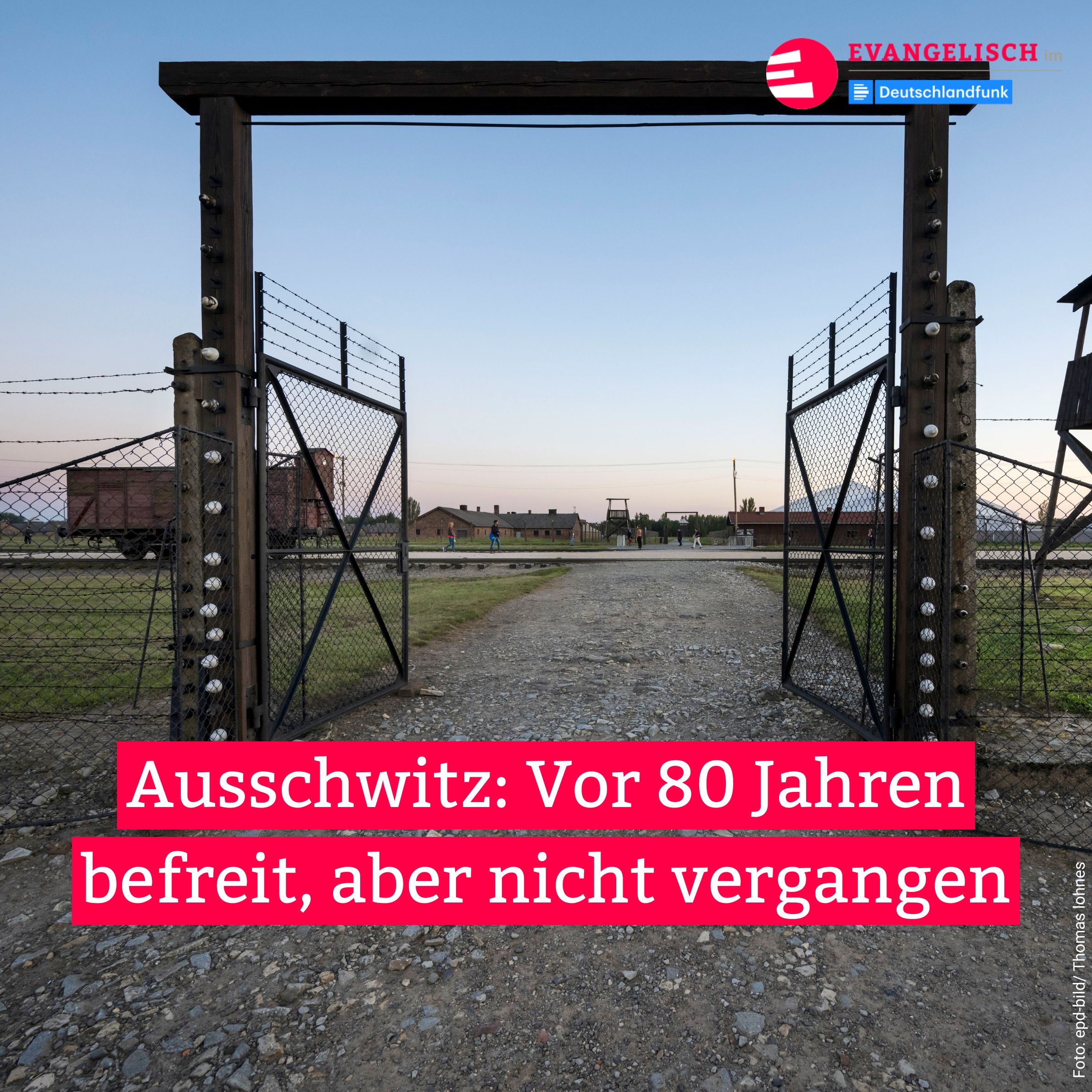 Auschwitz - Vor 80 Jahren befreit, aber nicht vergangen episode artwork