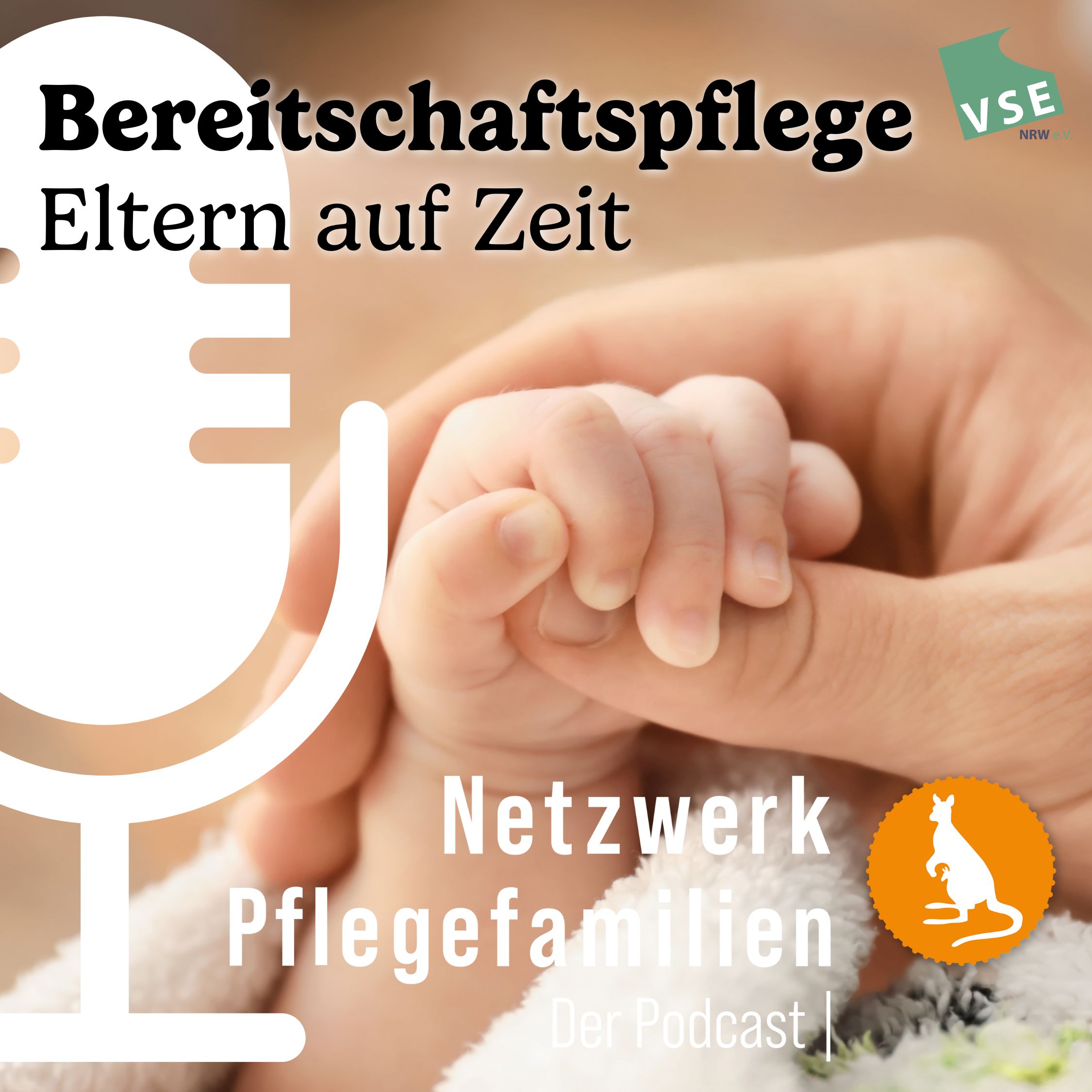Netzwerk Pflegefamilien - Der Podcast