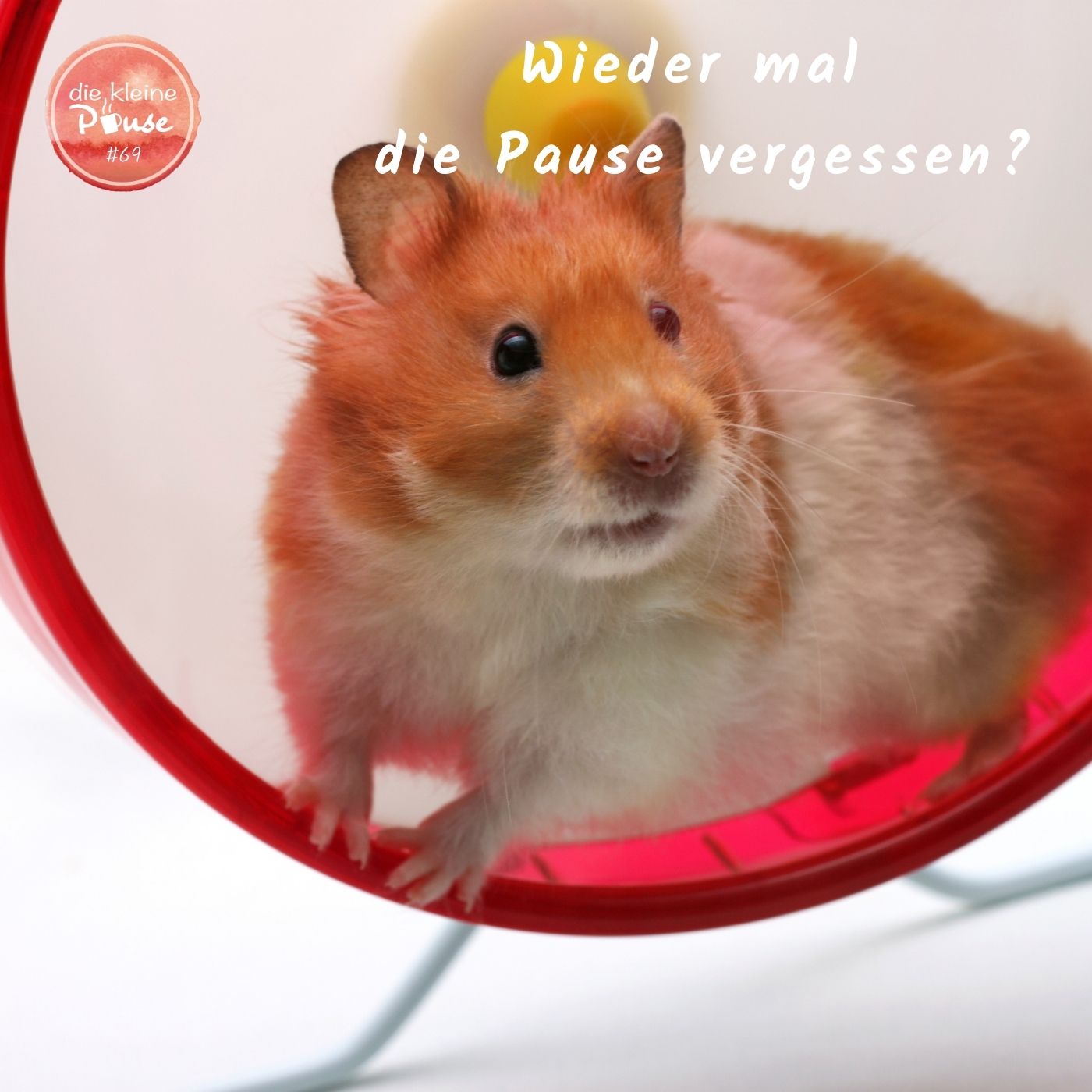 die kleine Pause - Mehr Wohlbefinden in deinem (Schul-) Alltag