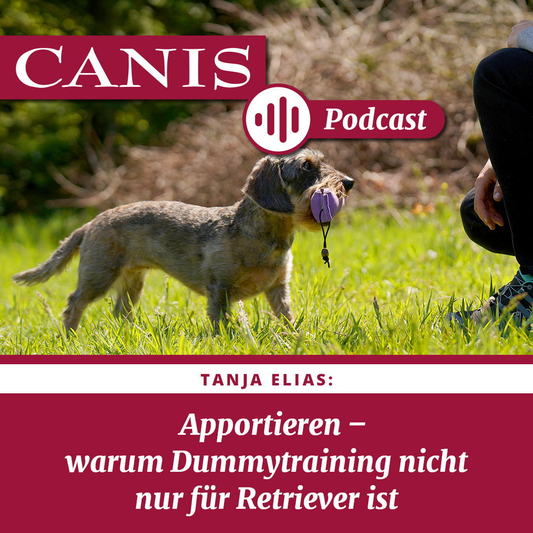 Der CANIS-Podcast – Hundeexpert:innen ausgefragt