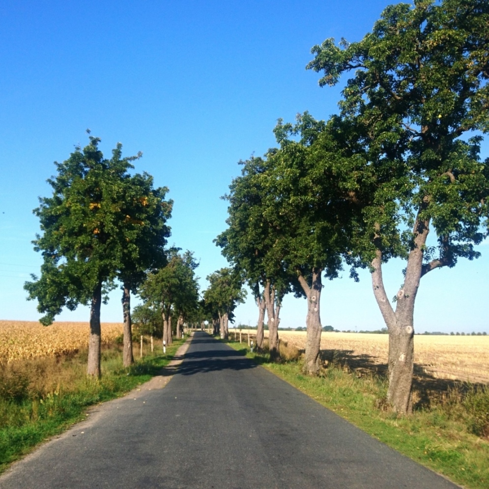 AltmarkPodcast