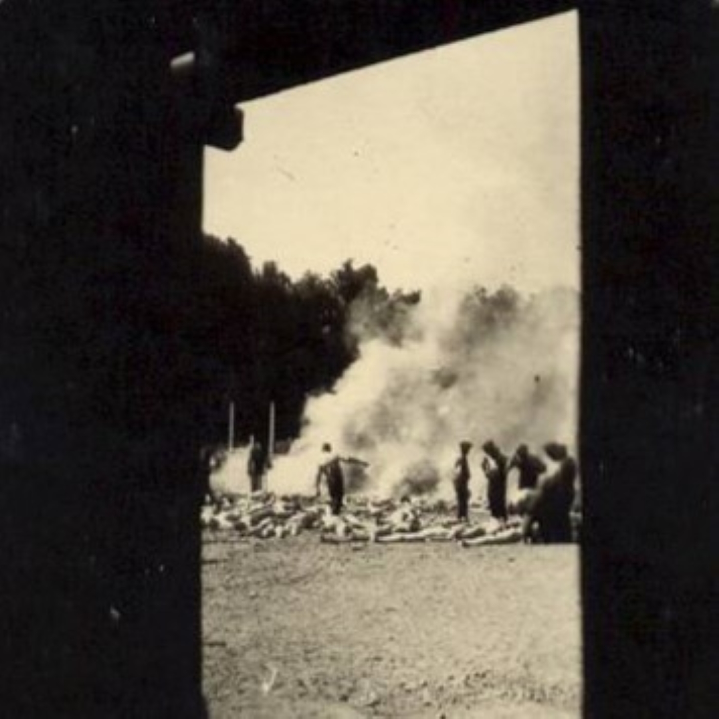 S-007: Der Konzentrations- und Vernichtungslagerkomplex Auschwitz-Birkenau-Monowitz (1940-1945), mit Dr. Susanne Willems