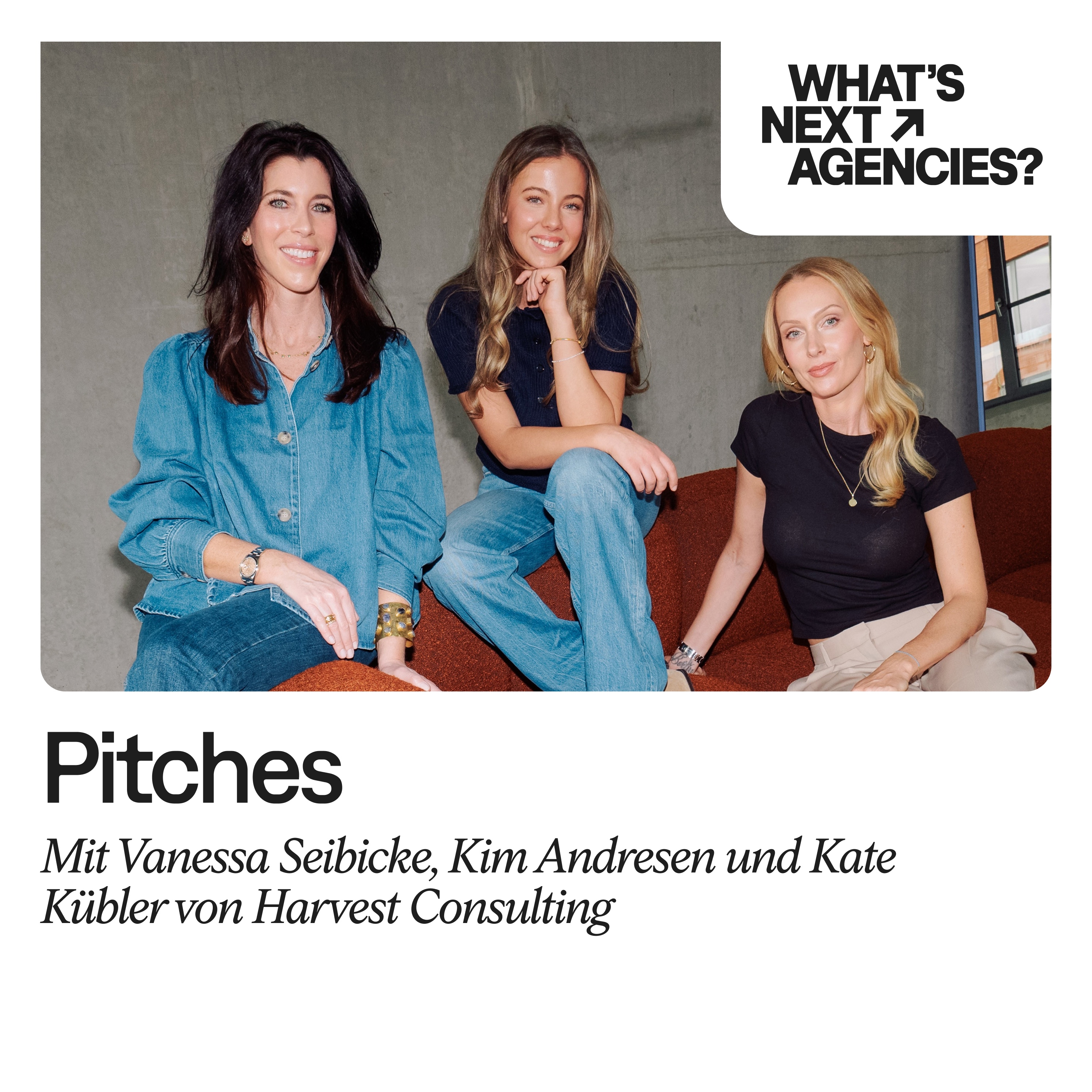 Pitches | Vanessa Seibicke, Kim Andresen & Katharina Kübler episode artwork