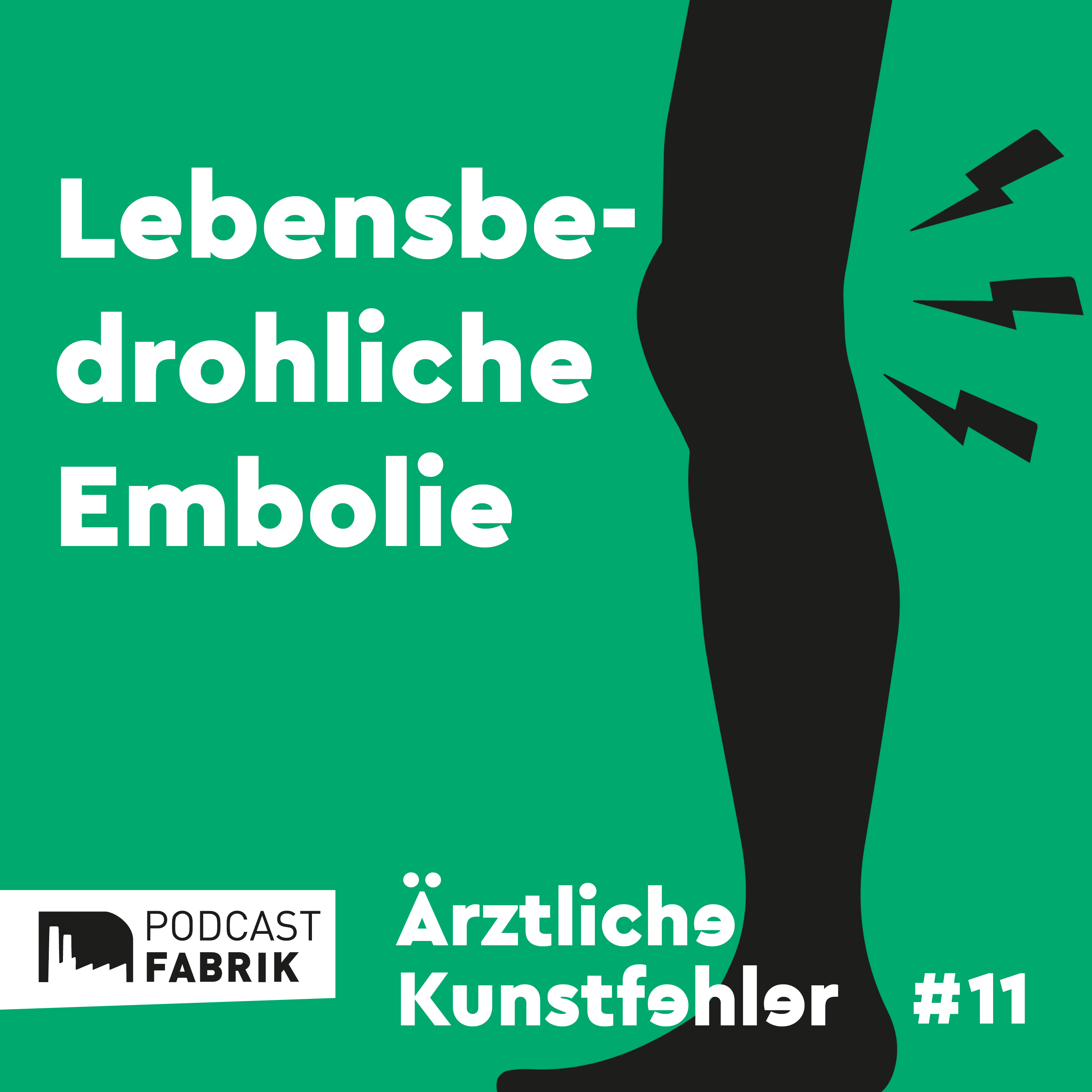 Ärztliche Kunstfehler und andere Medizingeschichten