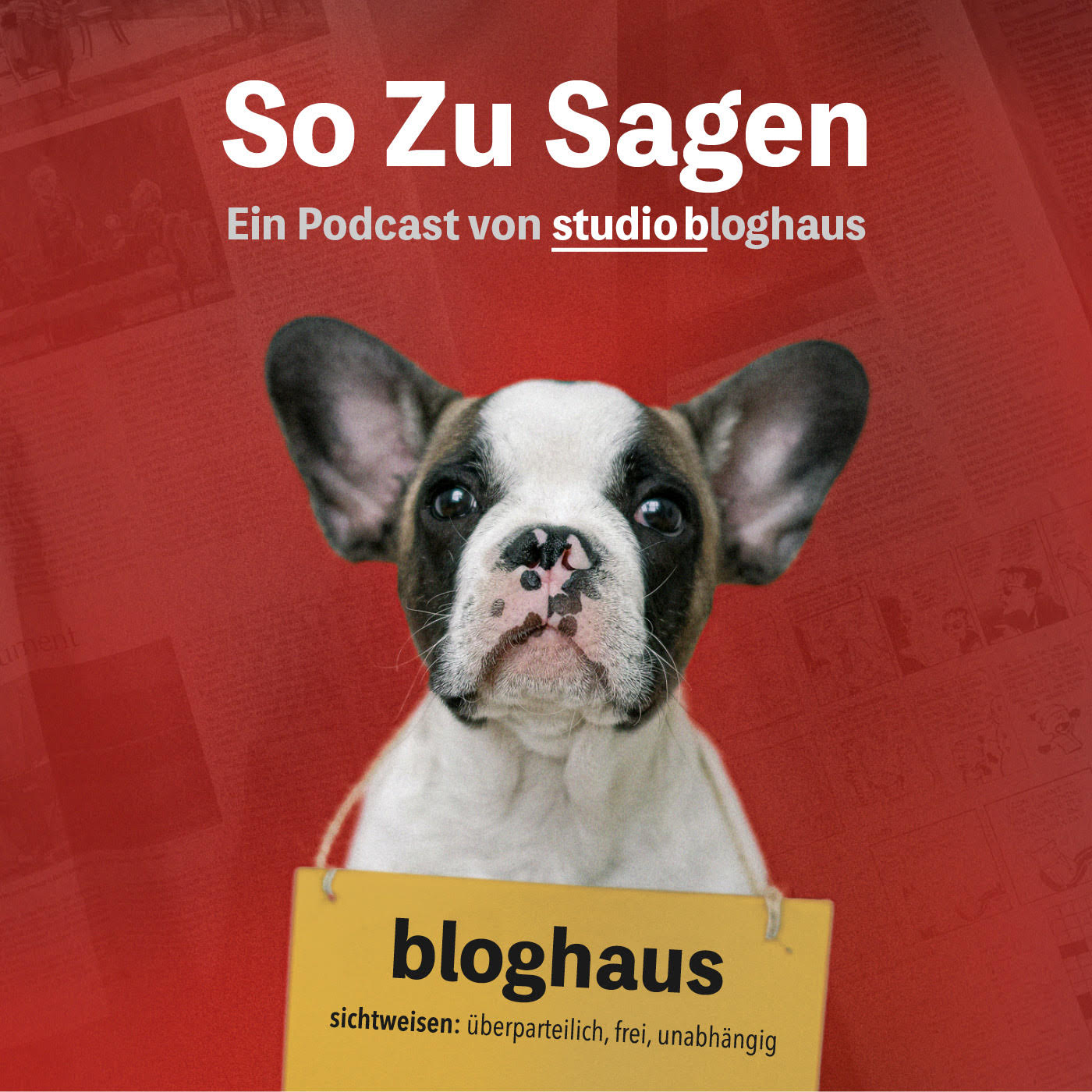 So Zu Sagen: Ein Podcast von studio bloghaus