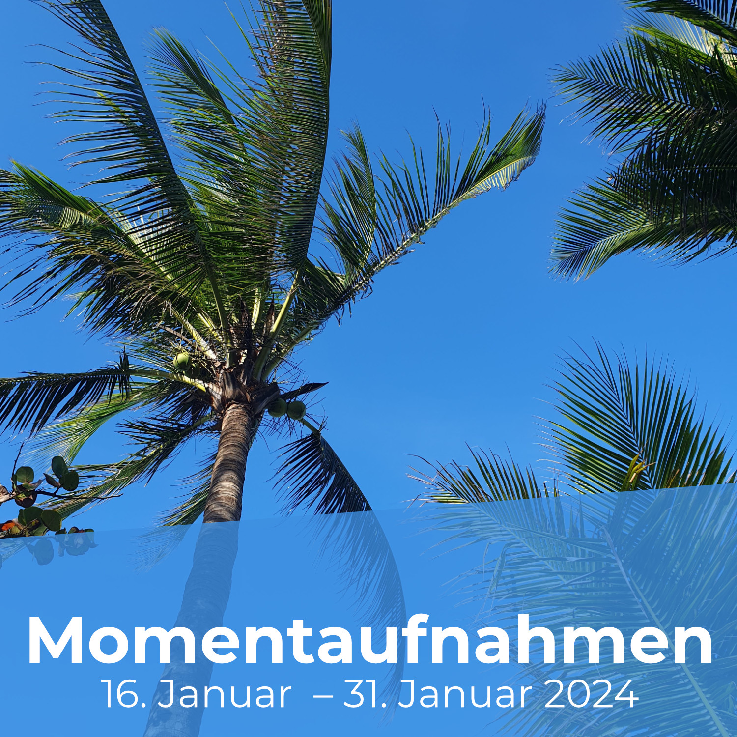Patricks Momentaufnahmen