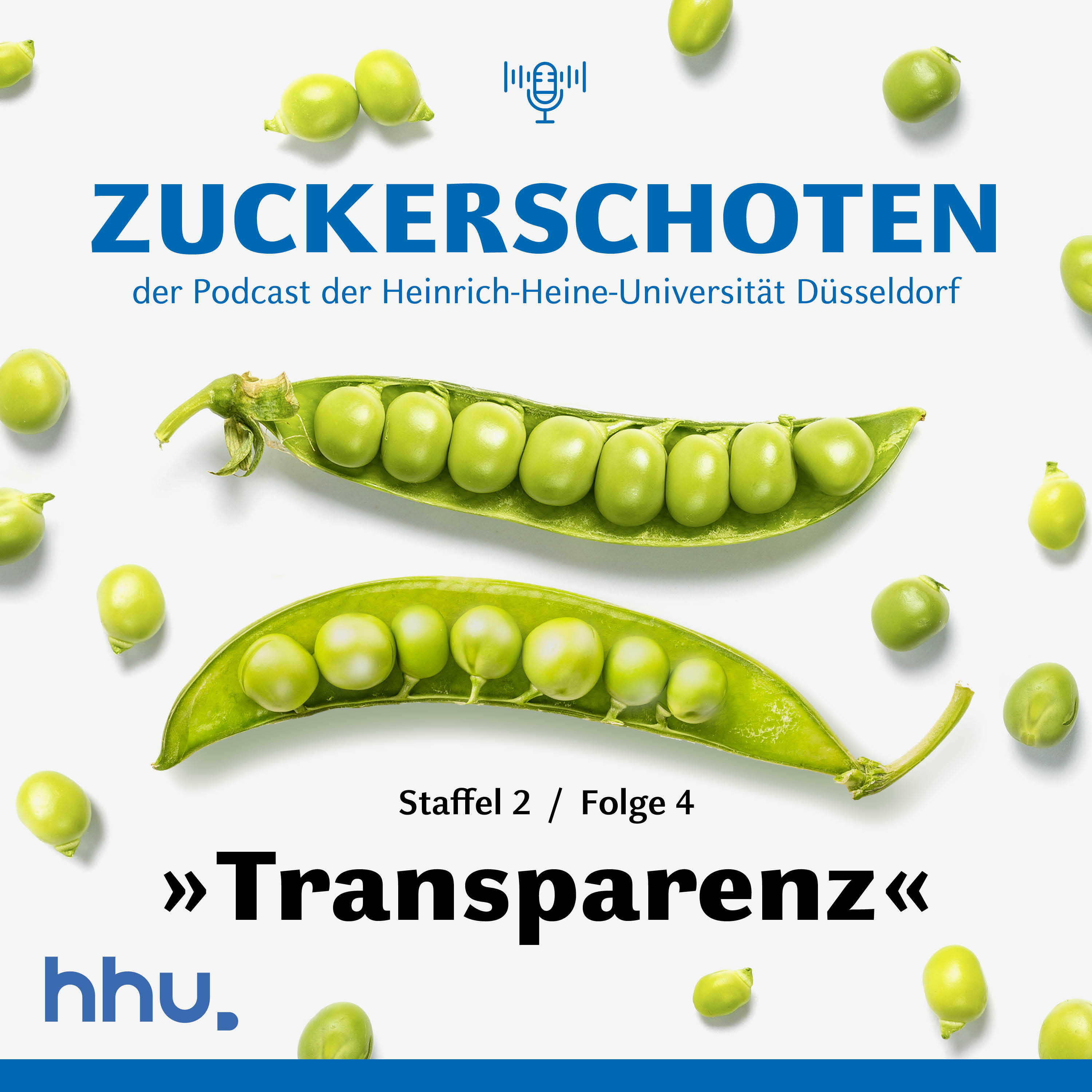 Transparenz episode artwork