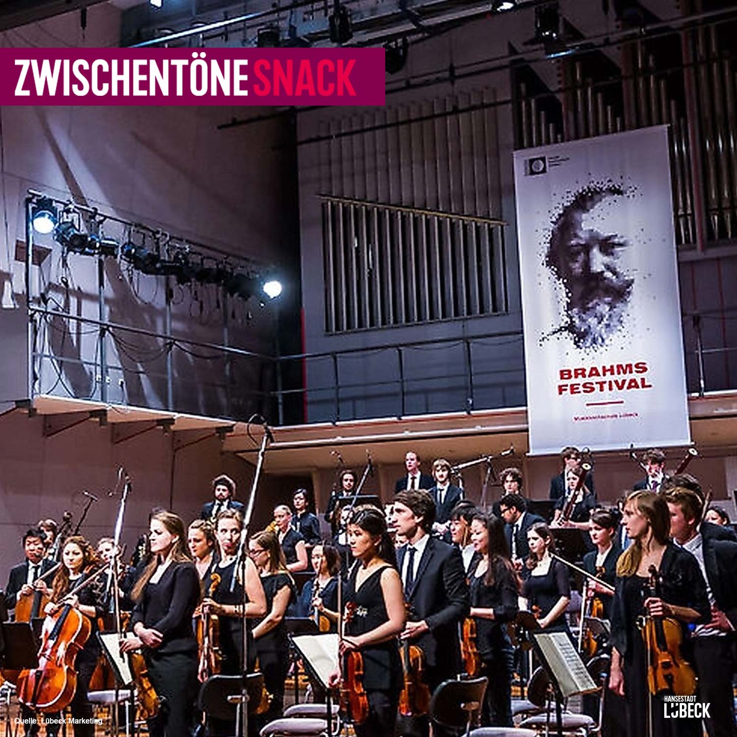 Lieben Sie Brahms? - Das 33. Brahms Festival im Zeichen Frankreichs episode artwork