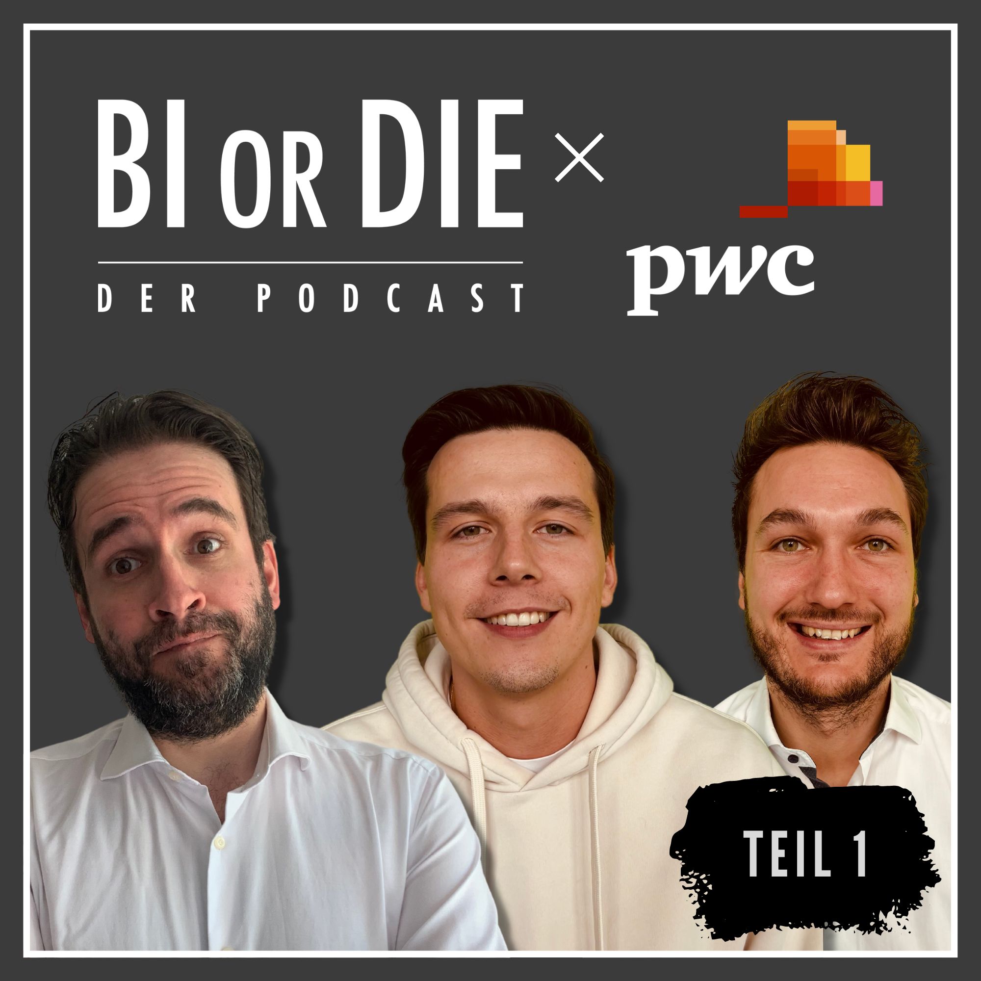 Reportingkatalog & Self Service | BI or DIE x PwC | Teil 1 - Tobias Elle & Jumen Rest episode artwork