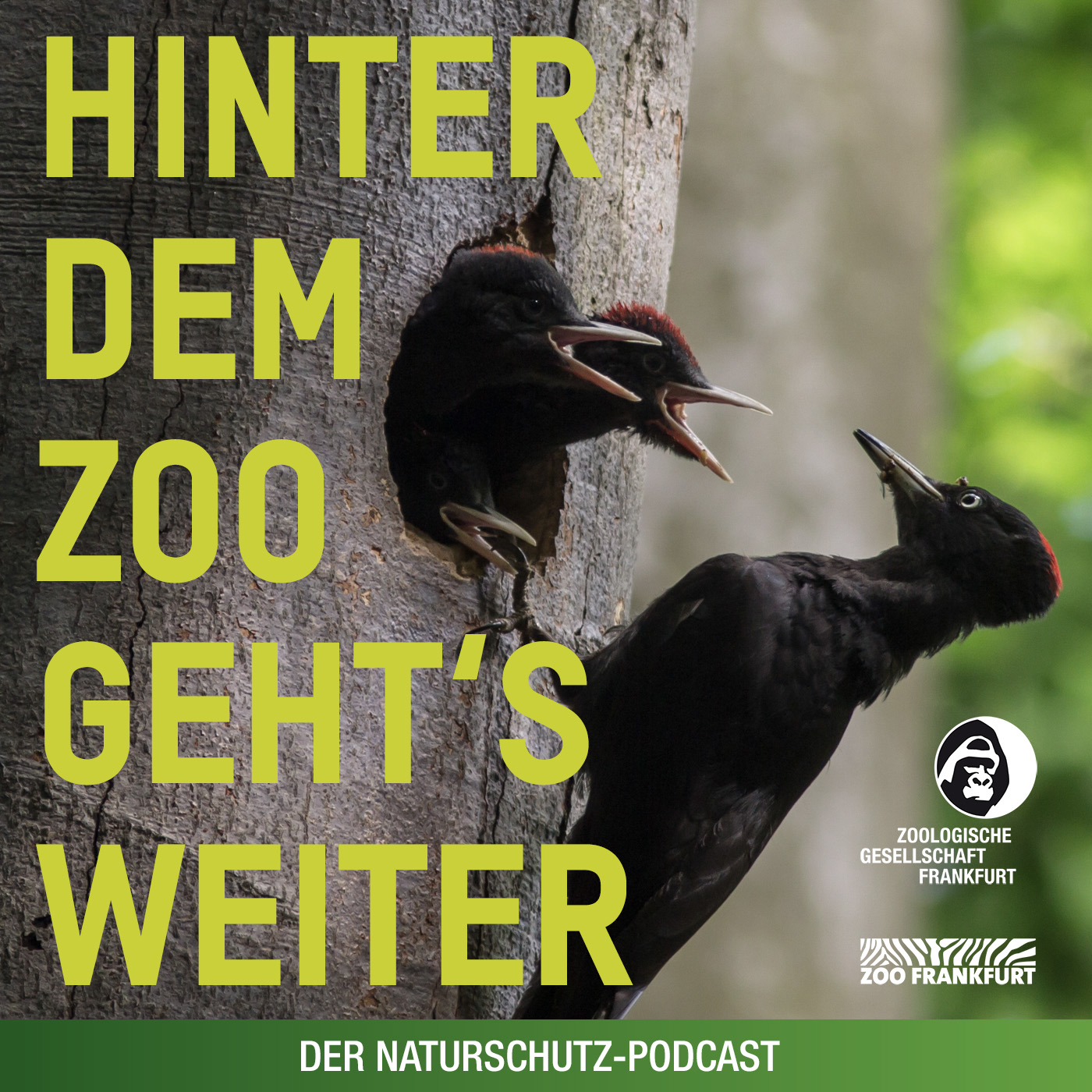 Hinter dem Zoo geht\'s weiter - Der Naturschutzpodcast aus Frankfurt