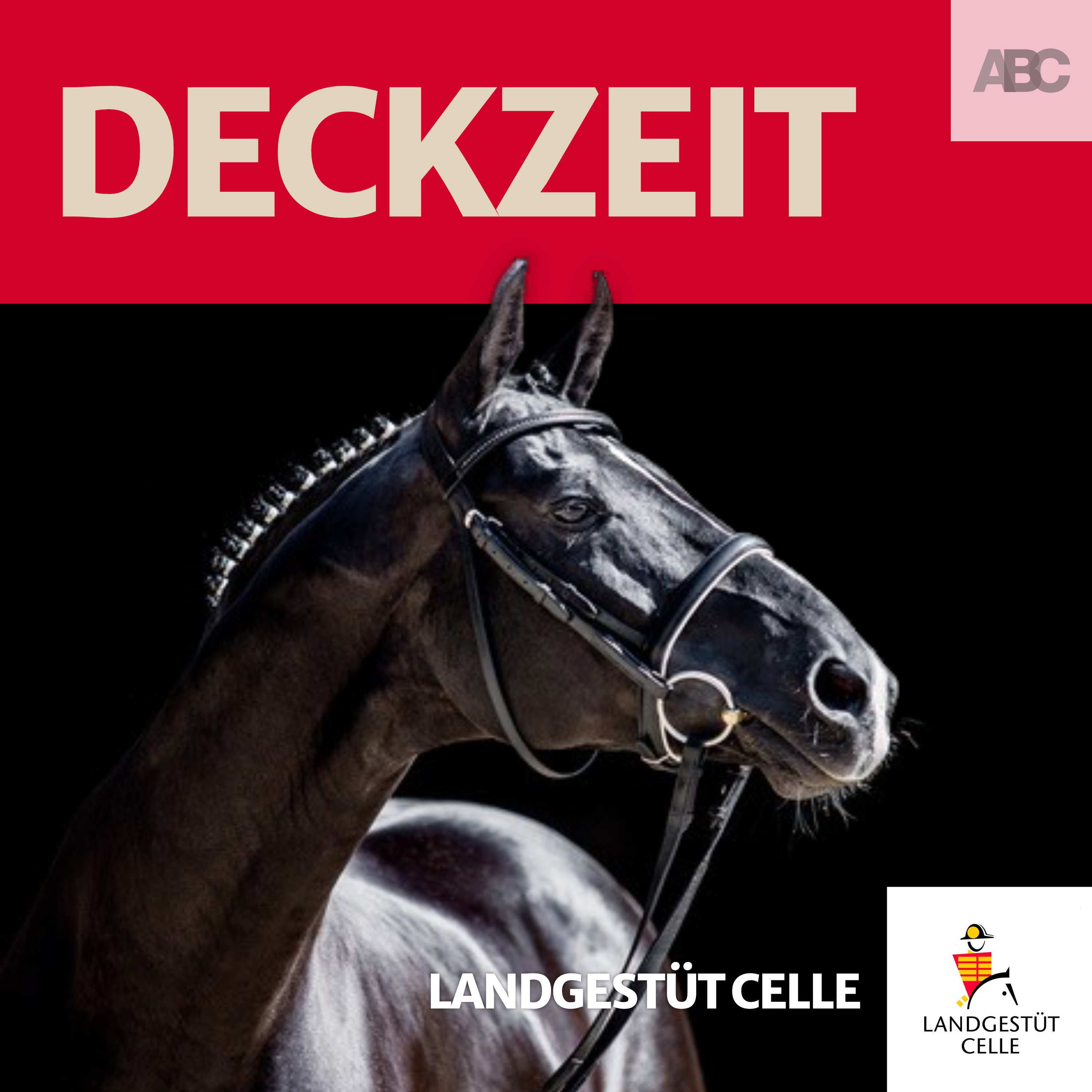 Landgestüt Celle - Der Podcast