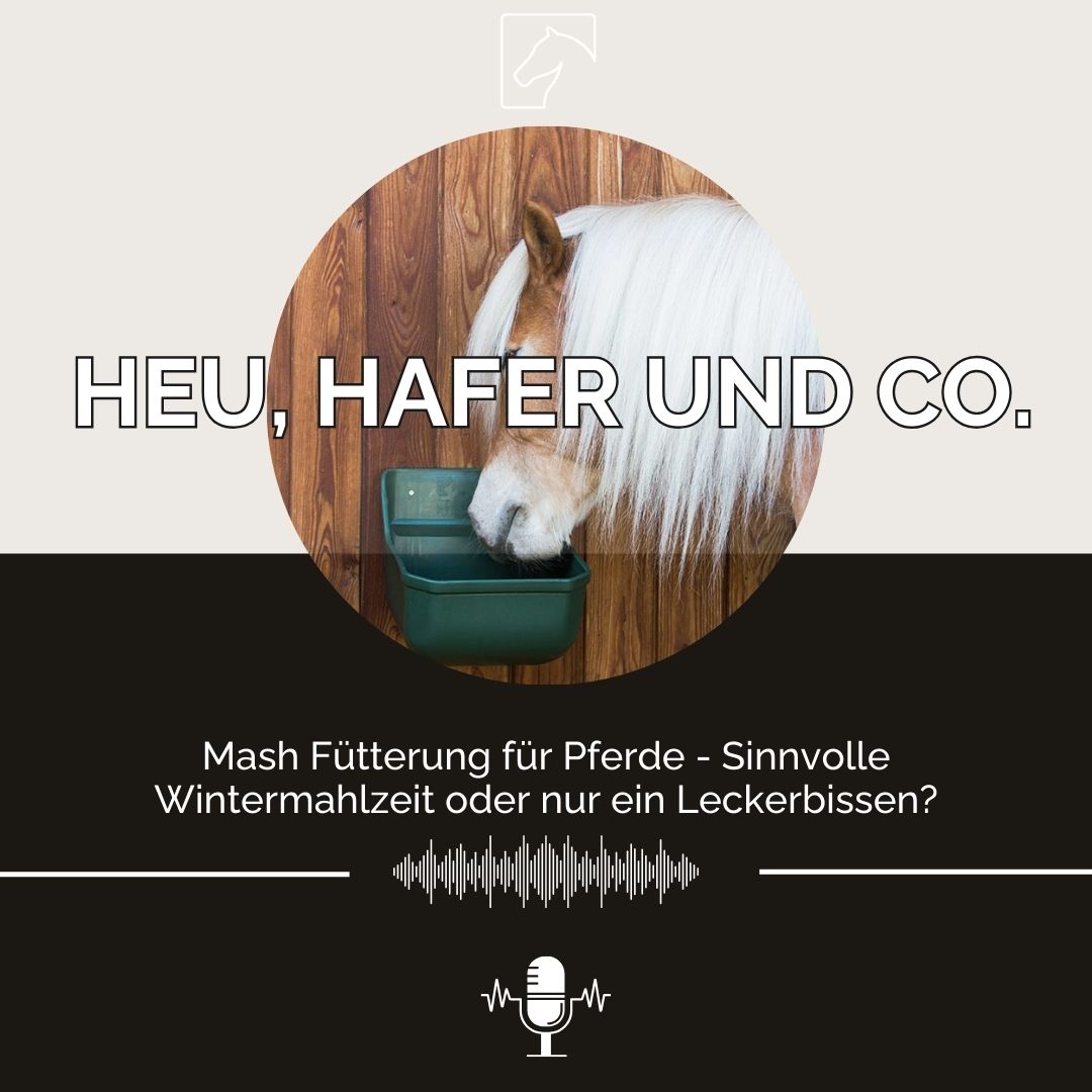 Heu, Hafer & Co: Der Pferdefutter-Podcast