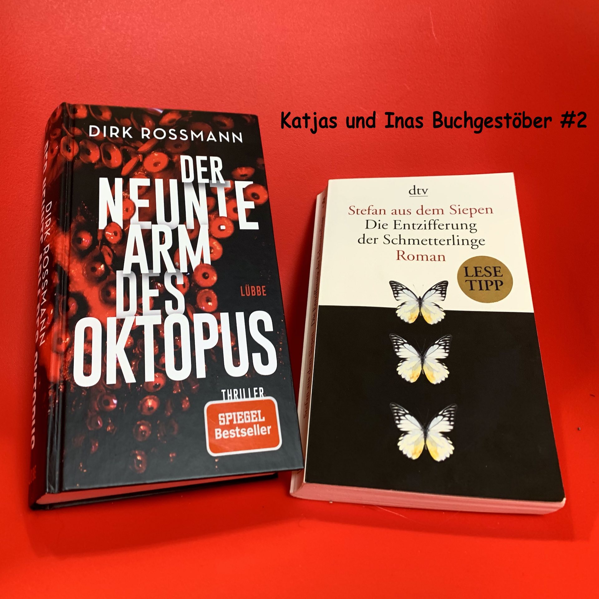 Katjas und Inas Buchgestöber