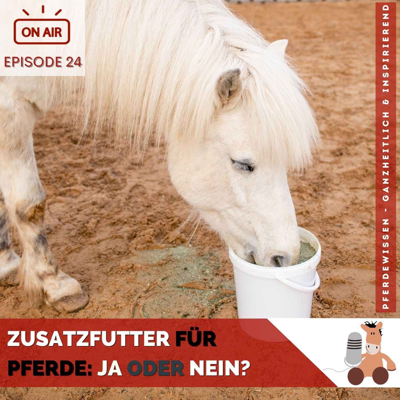 Pferdewissen - ganzheitlich & inspirierend mit Sandra Fencl