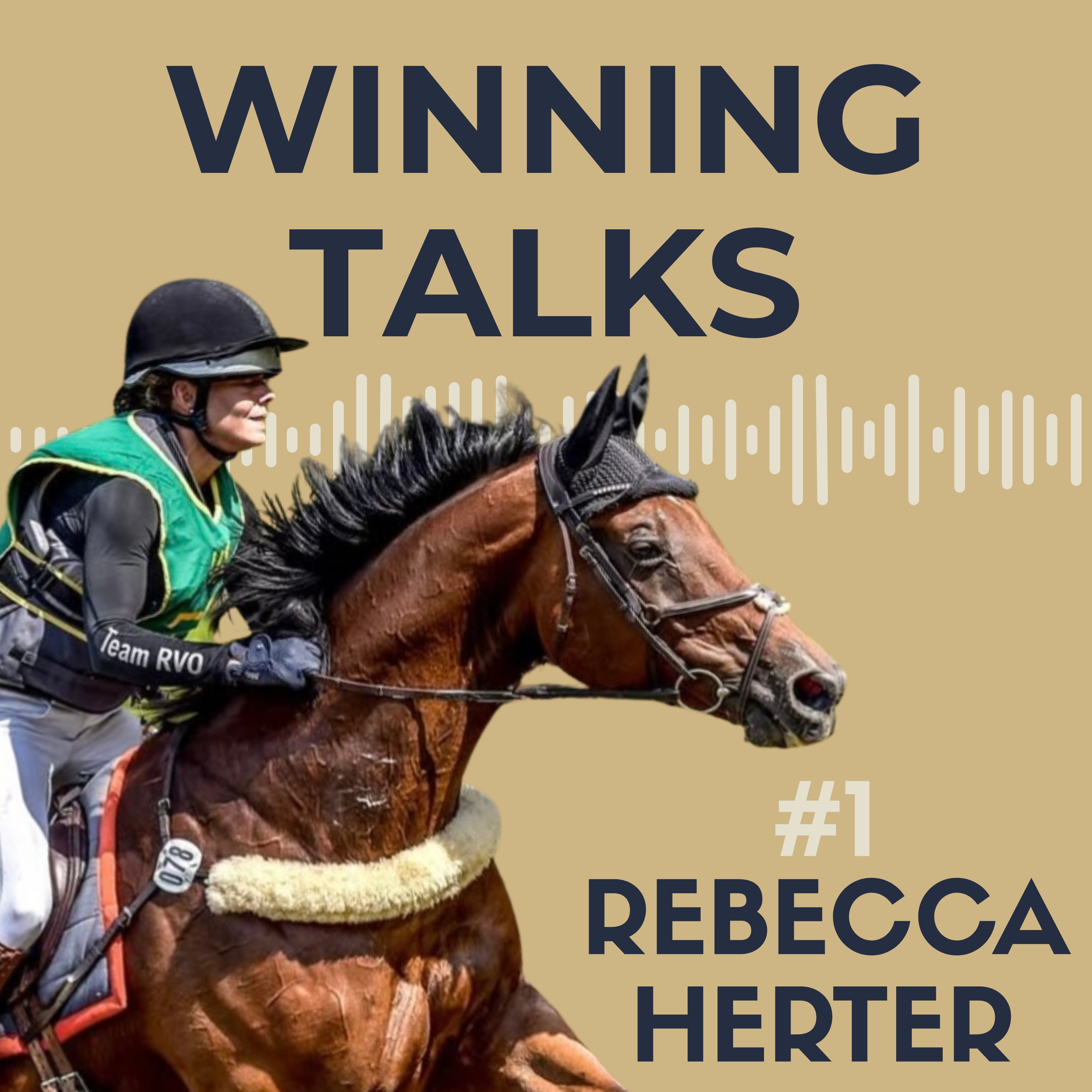 WINNING TALKS