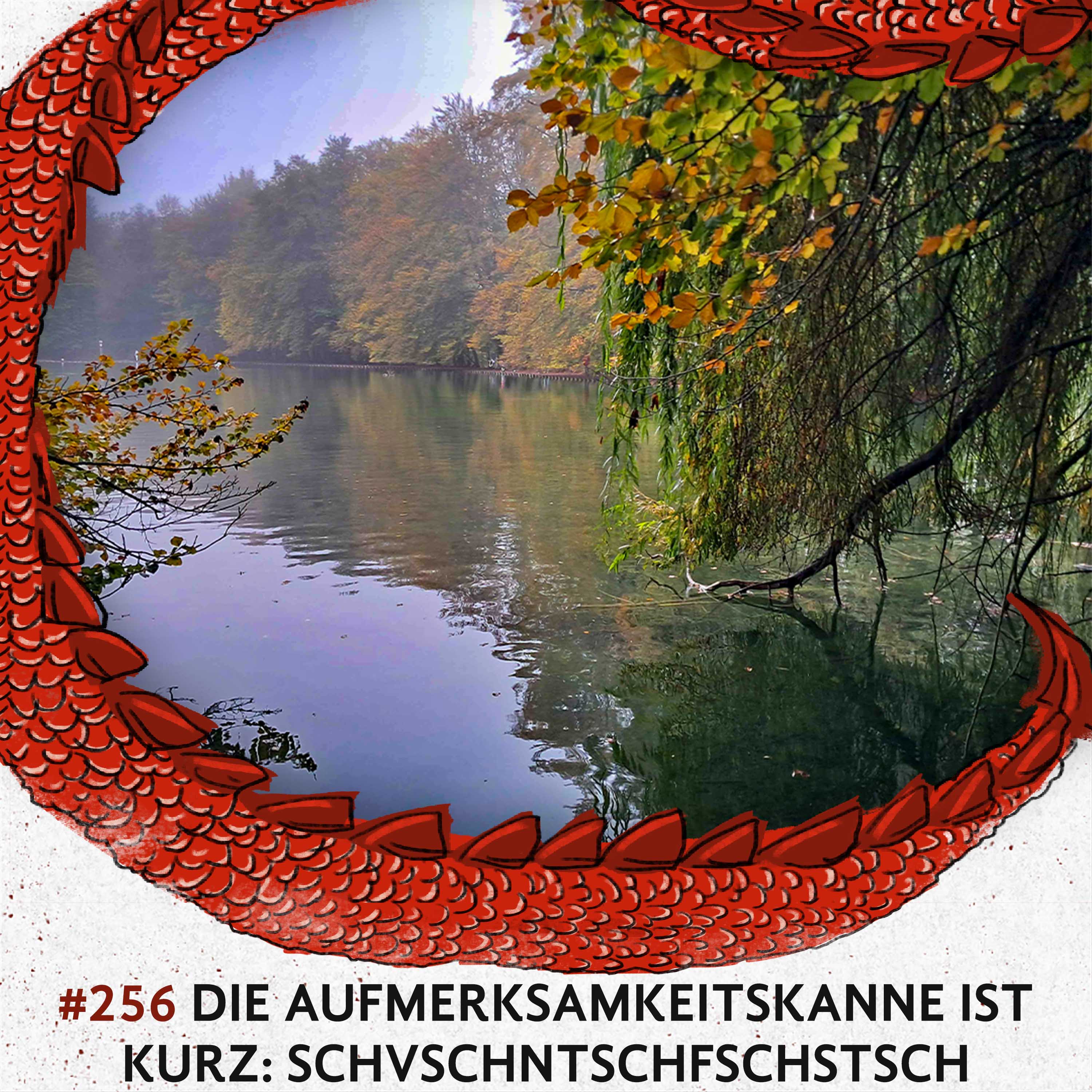 256 Die Aufmerksamkeitskanne ist kurz: schvschntschfschstsch episode artwork