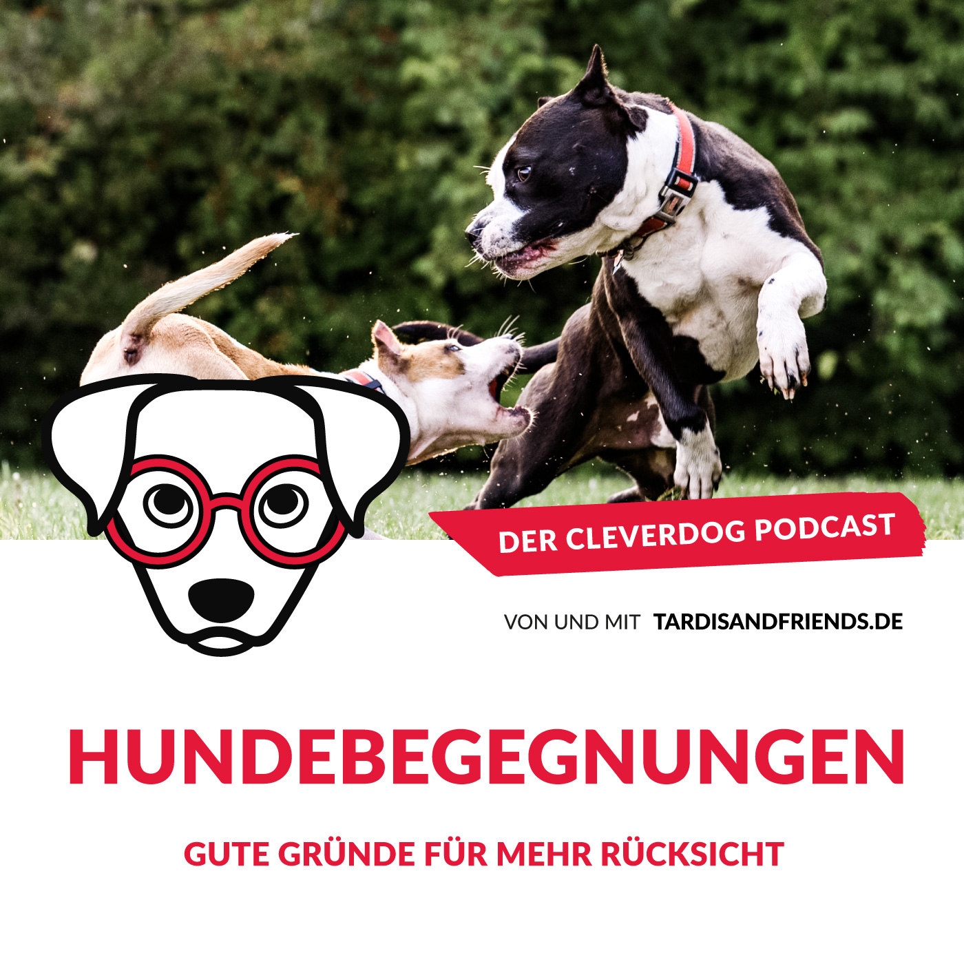 Der Cleverdog Podcast – mehr Wissen rund um den Hund!