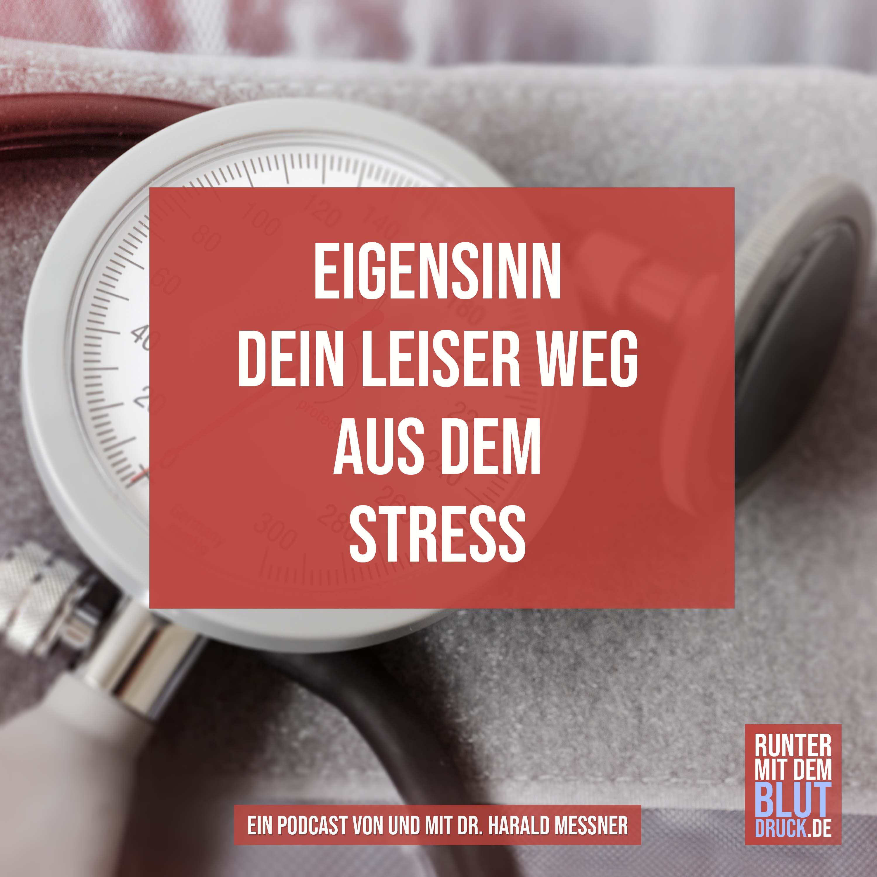Eigensinn - Dein leiser Weg aus dem Stress episode artwork