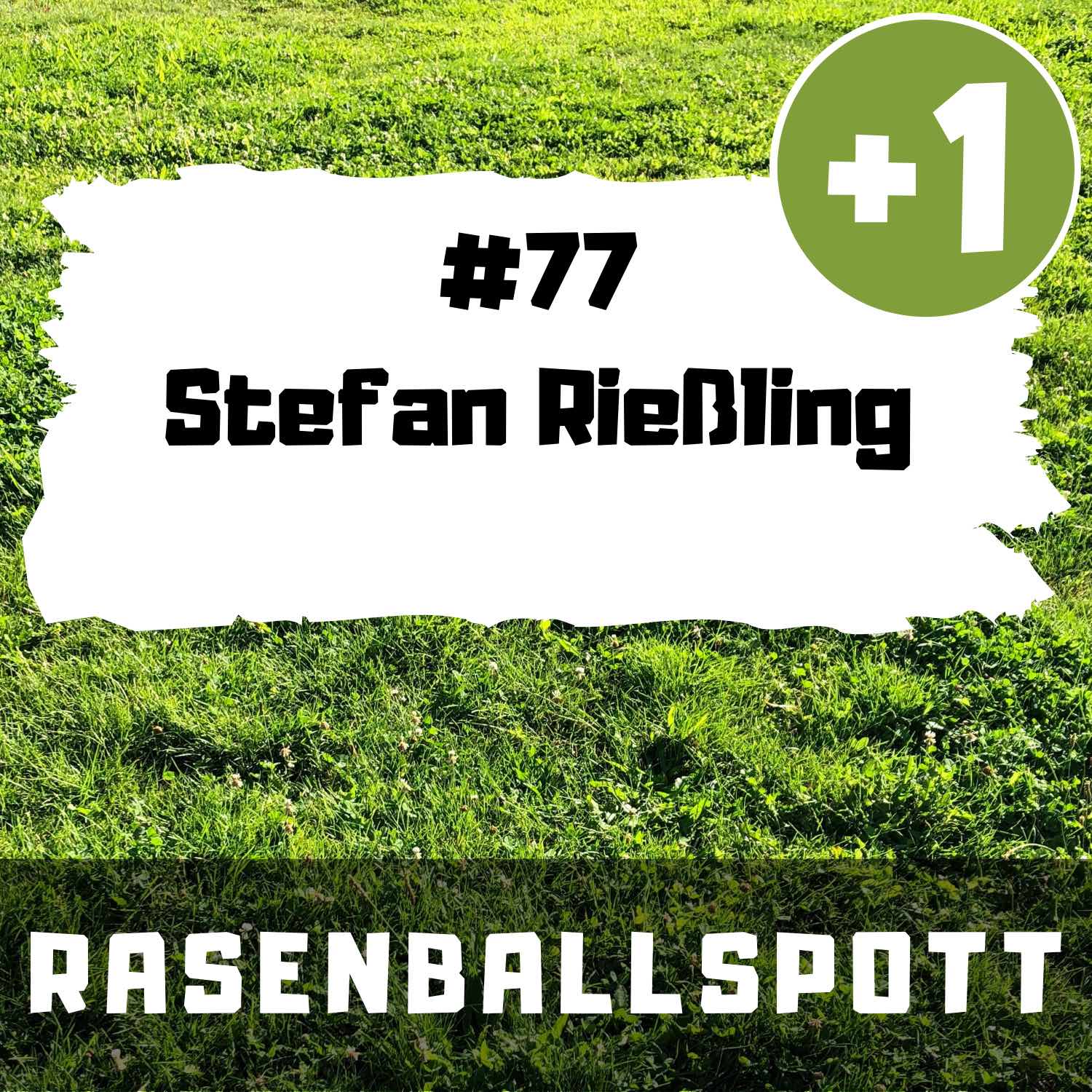 RASENBALLSPOTT