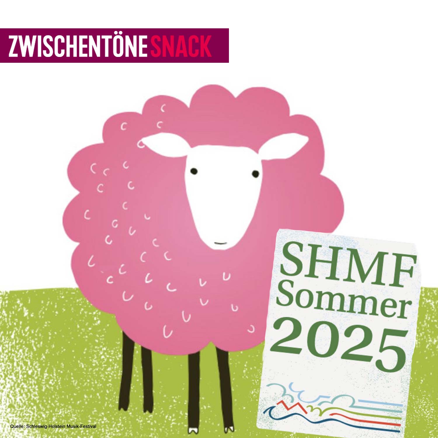 Klassik feiern auf dem Lande - 40 Jahre Schleswig Holstein Musik Festival episode artwork