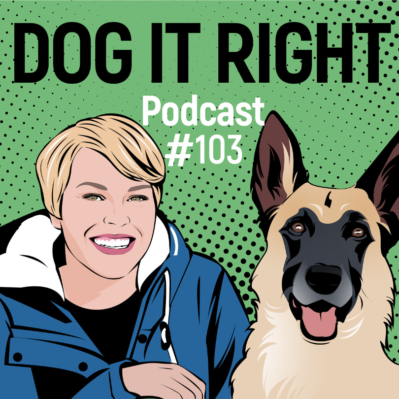 #103: Wann soll ich meinen Hund belohnen?