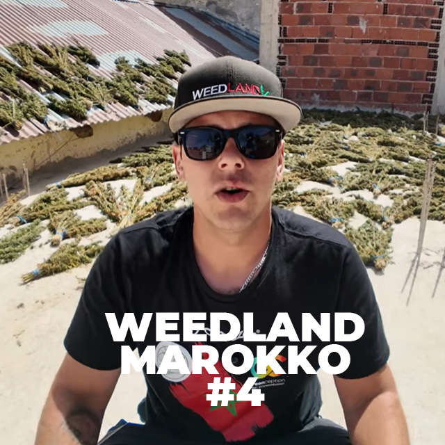 CannaZen 🥦 News & Wissen