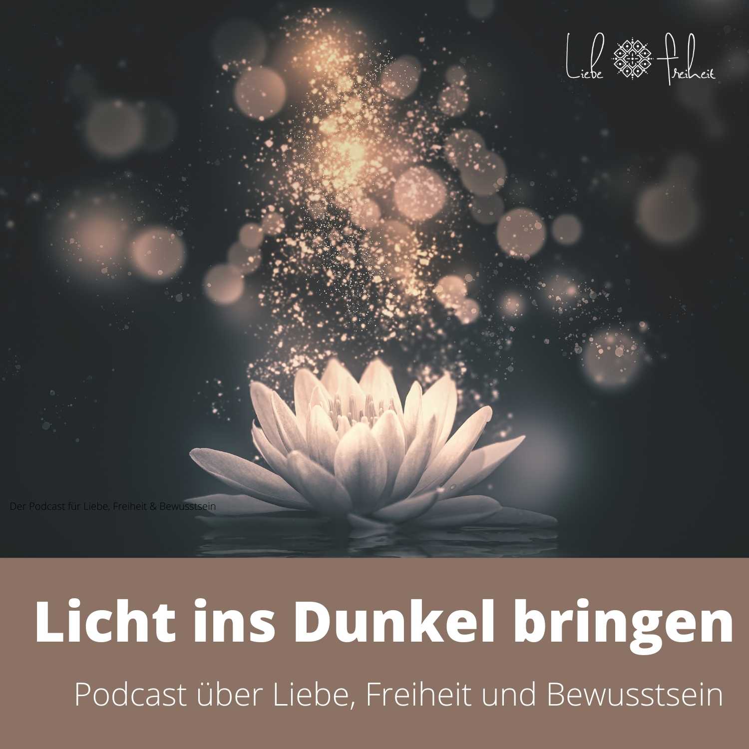 Licht ins Dunkel bringen episode artwork