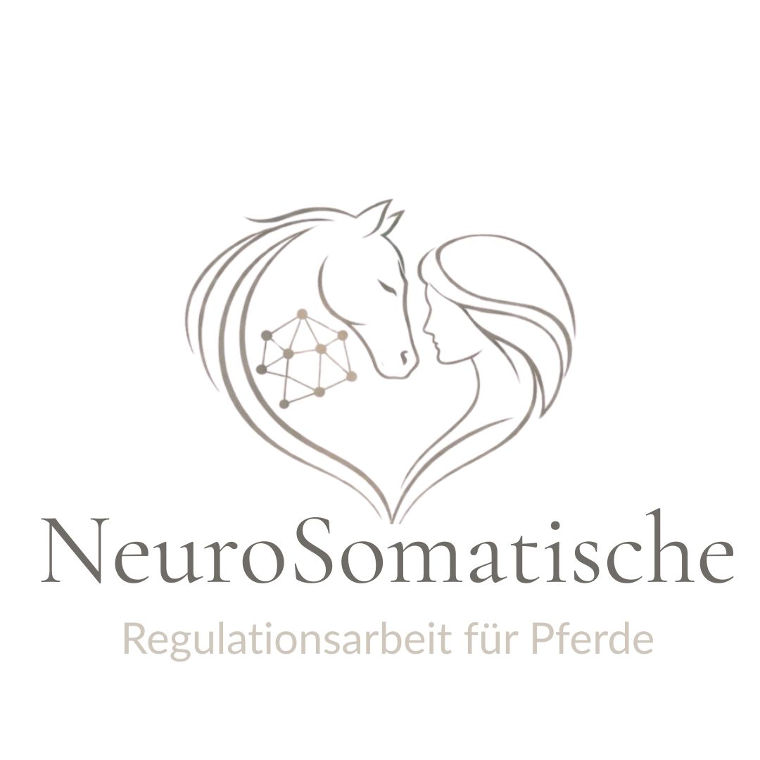 #88 Dysreguliertes Nervensystem beim Pferd – verstehen statt bewerten
