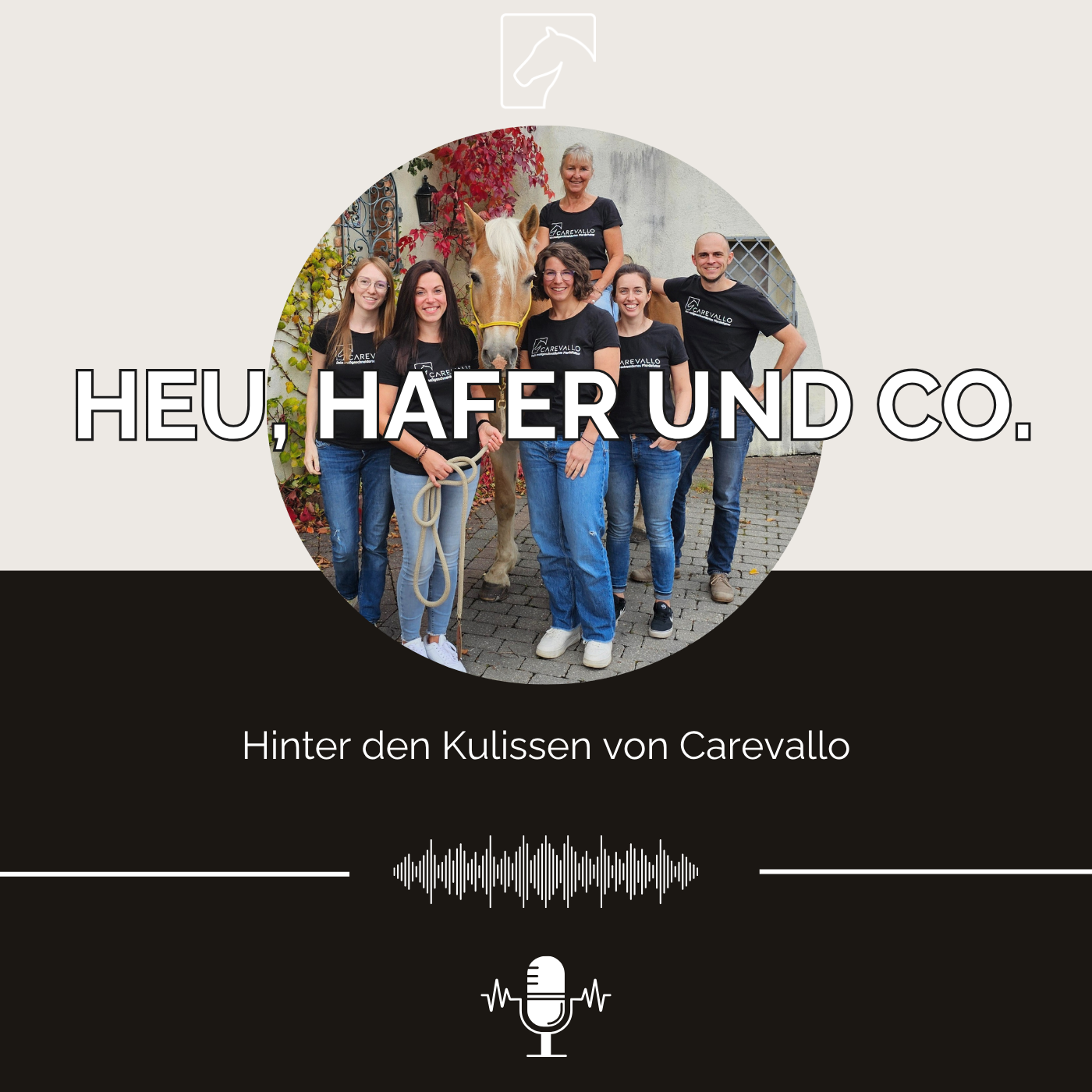 Heu, Hafer & Co: Der Pferdefutter-Podcast