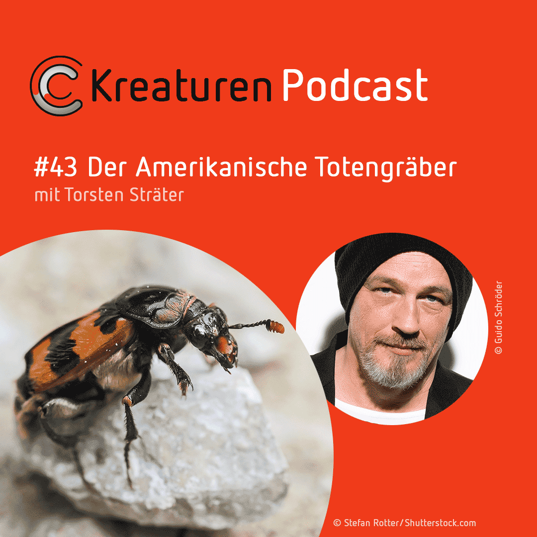 Kreaturen-Podcast – Folge 43: Der Amerikanische Totengräber mit Torsten Sträter episode artwork