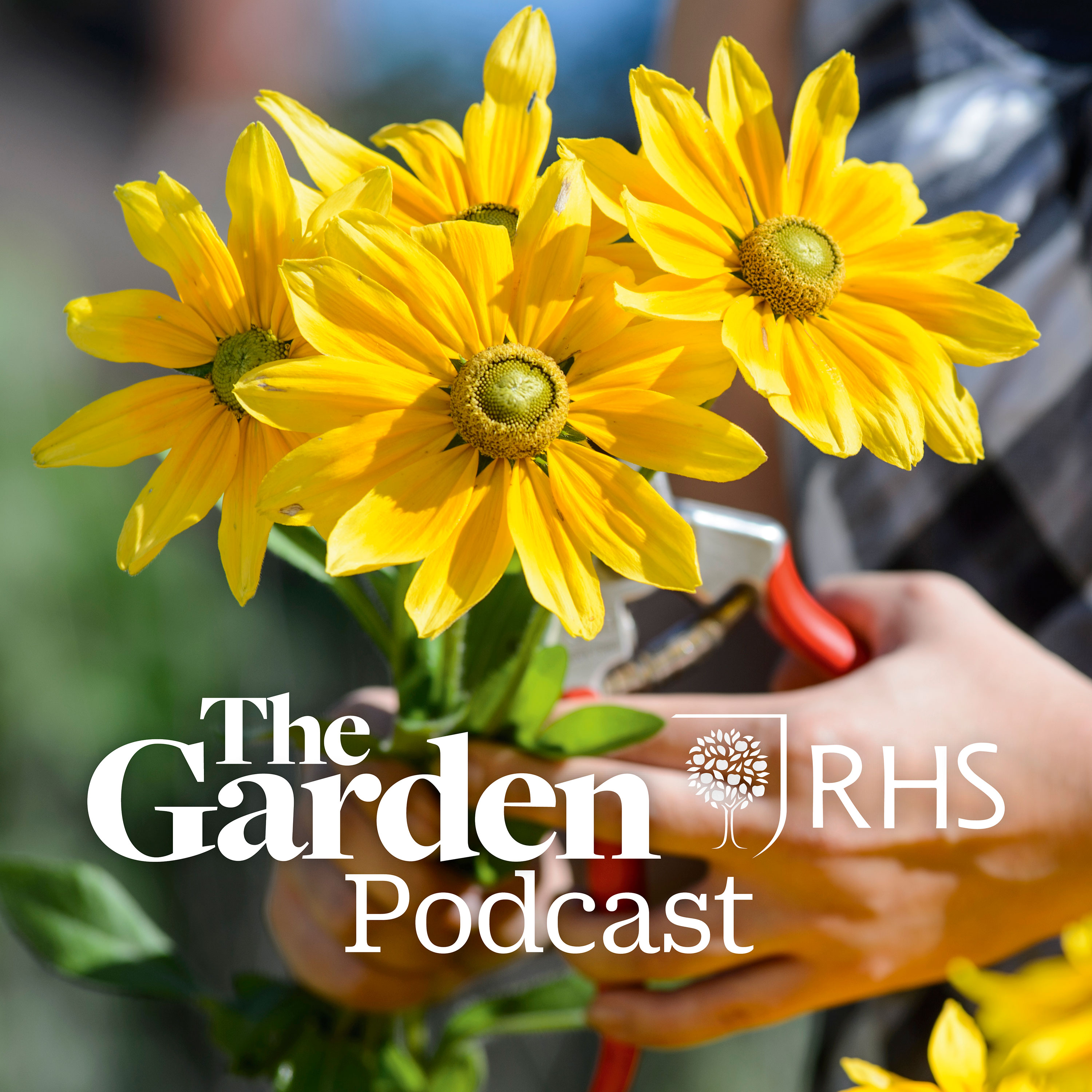 The Garden A Monthly Podcast From The Offices Of The Rhs Members Magazine Rhs Gardening