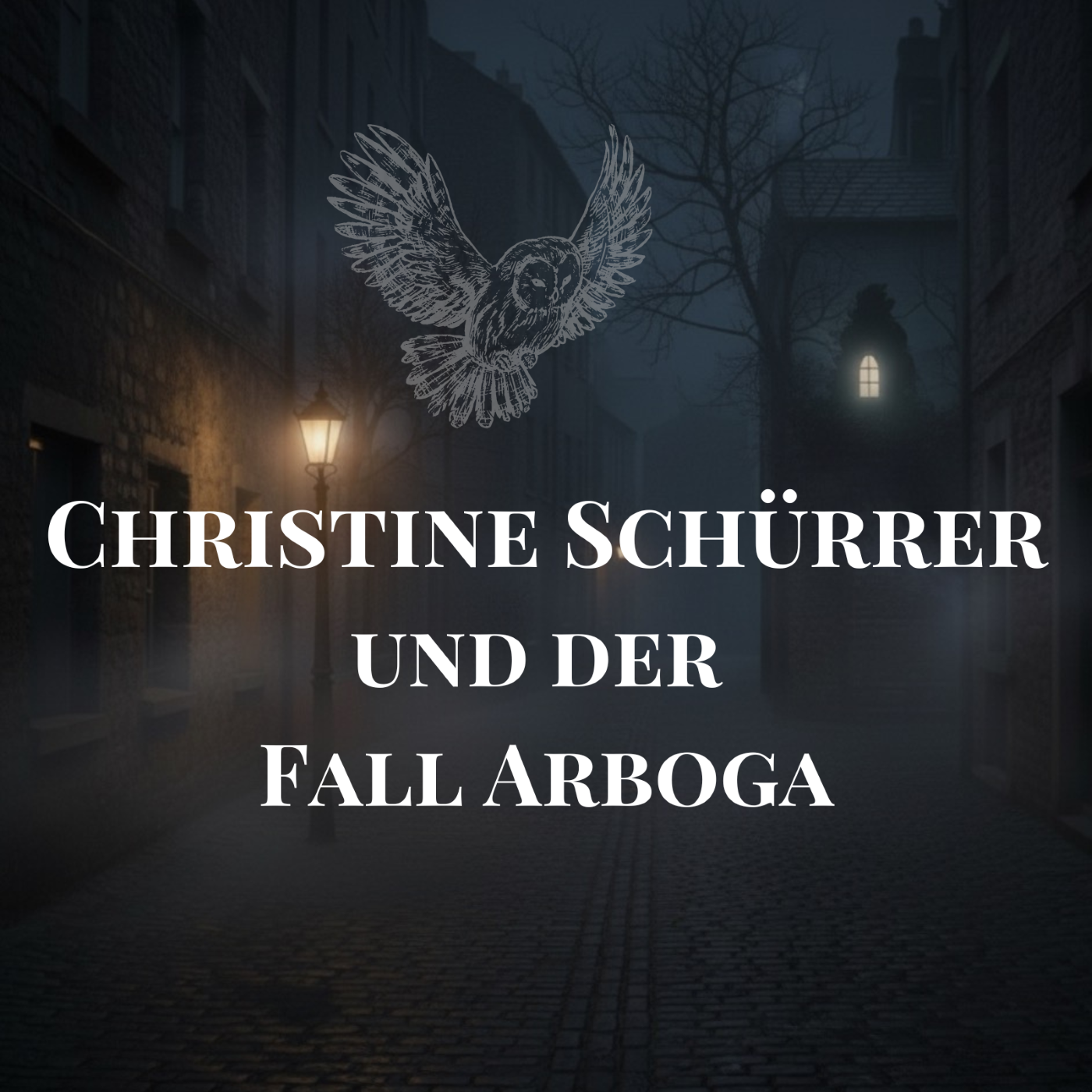 Christine Schürrer und der Fall Arboga episode artwork