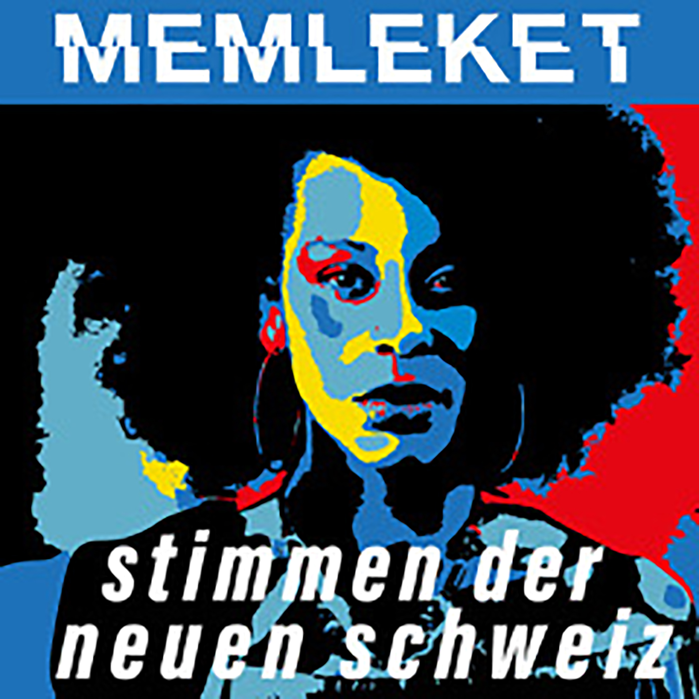 memleket - stimmen der neuen schweiz