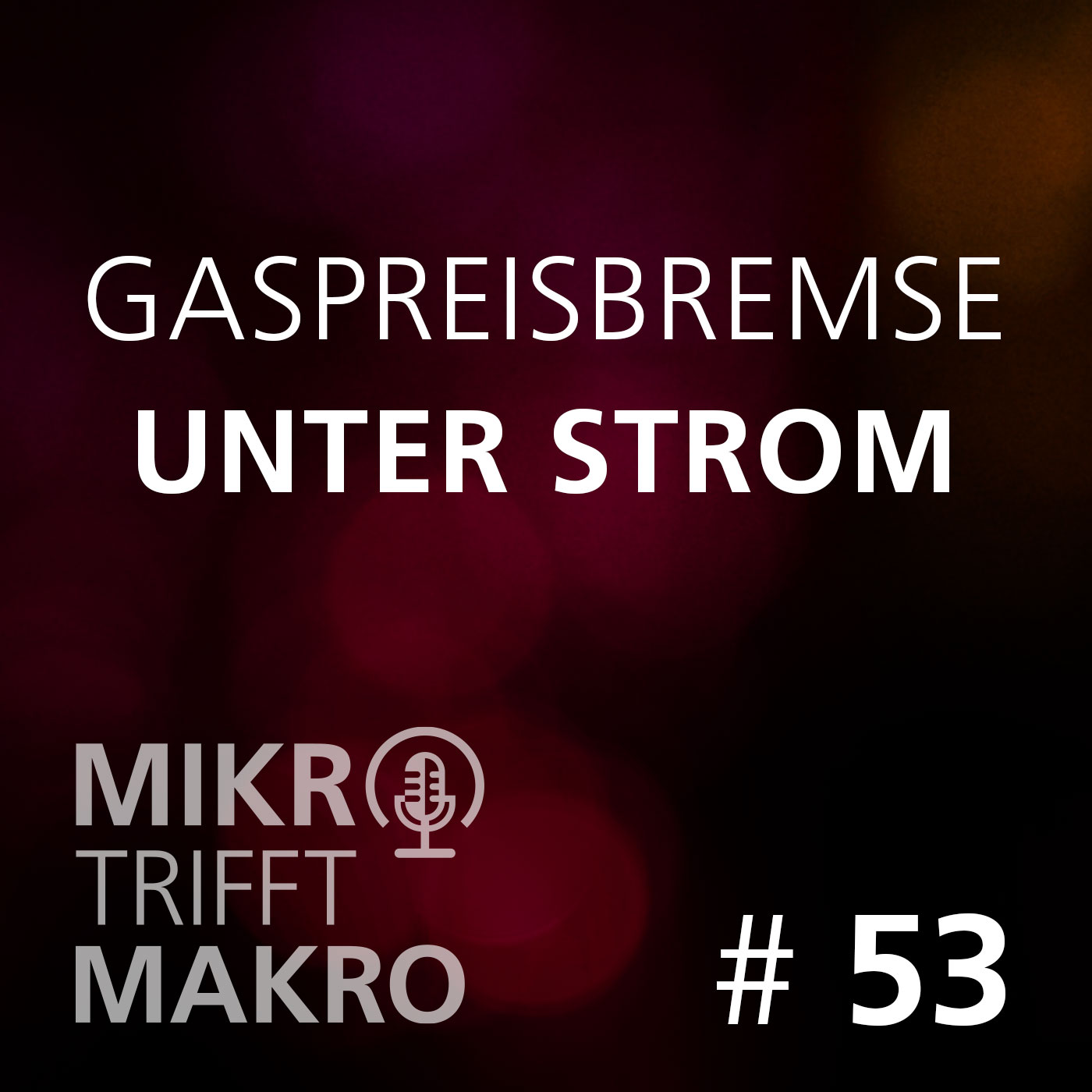 Mikro trifft Makro - Das Finanzmarktgespräch