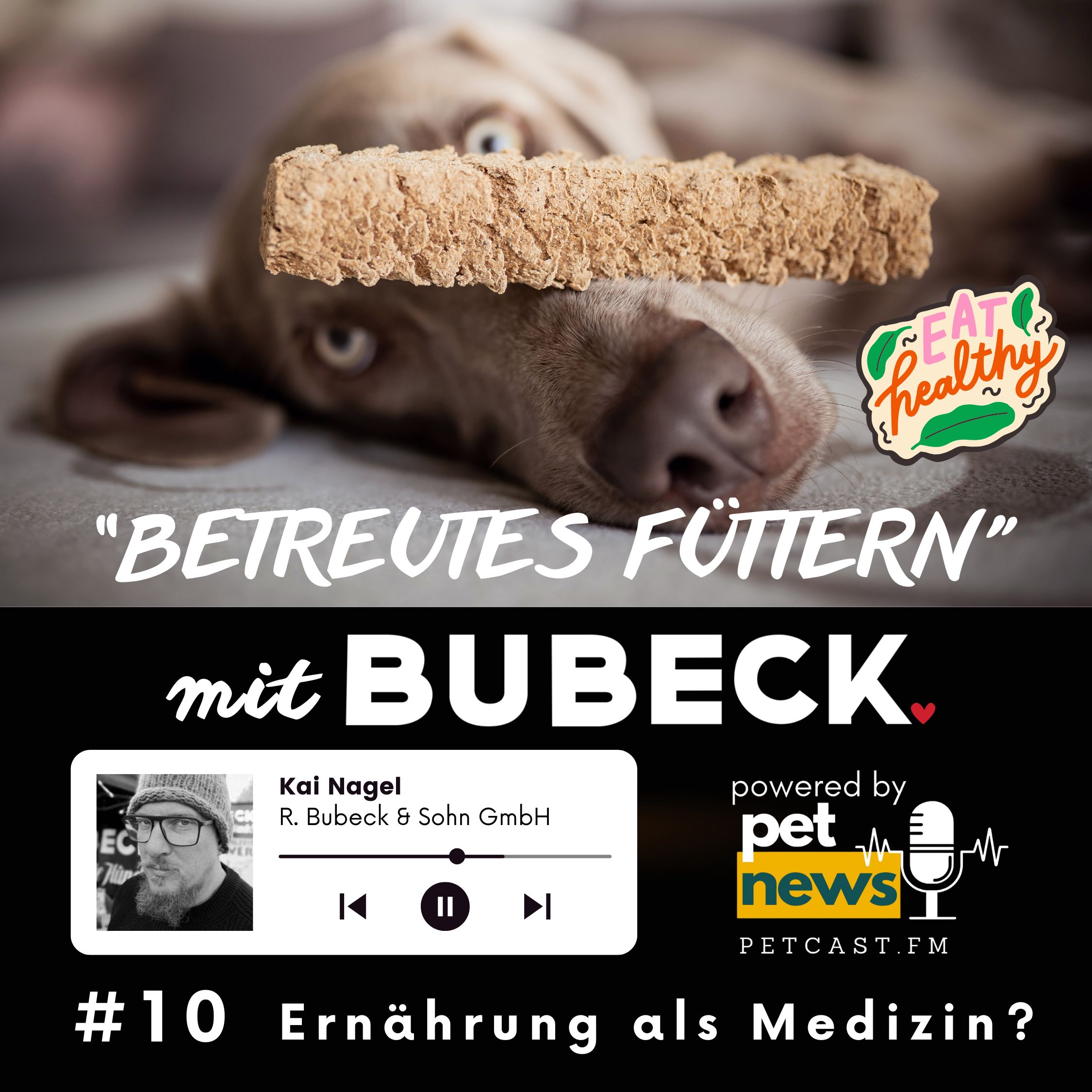 Betreutes Füttern mit Bubeck - Die älteste Hundefuttermanufaktur von 1893