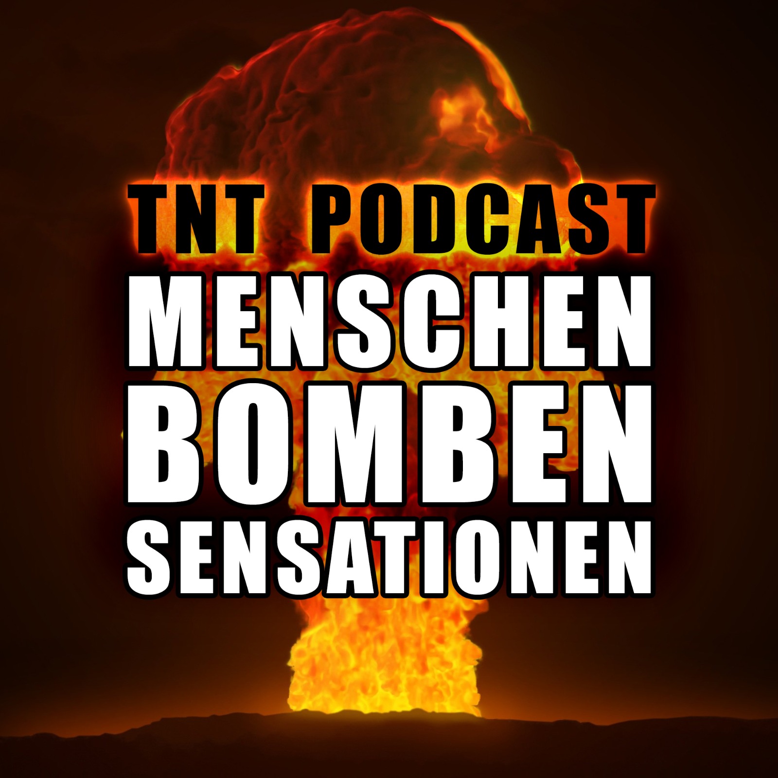 TNT #011 - 20 Raffaellos und 1 Big Tasty