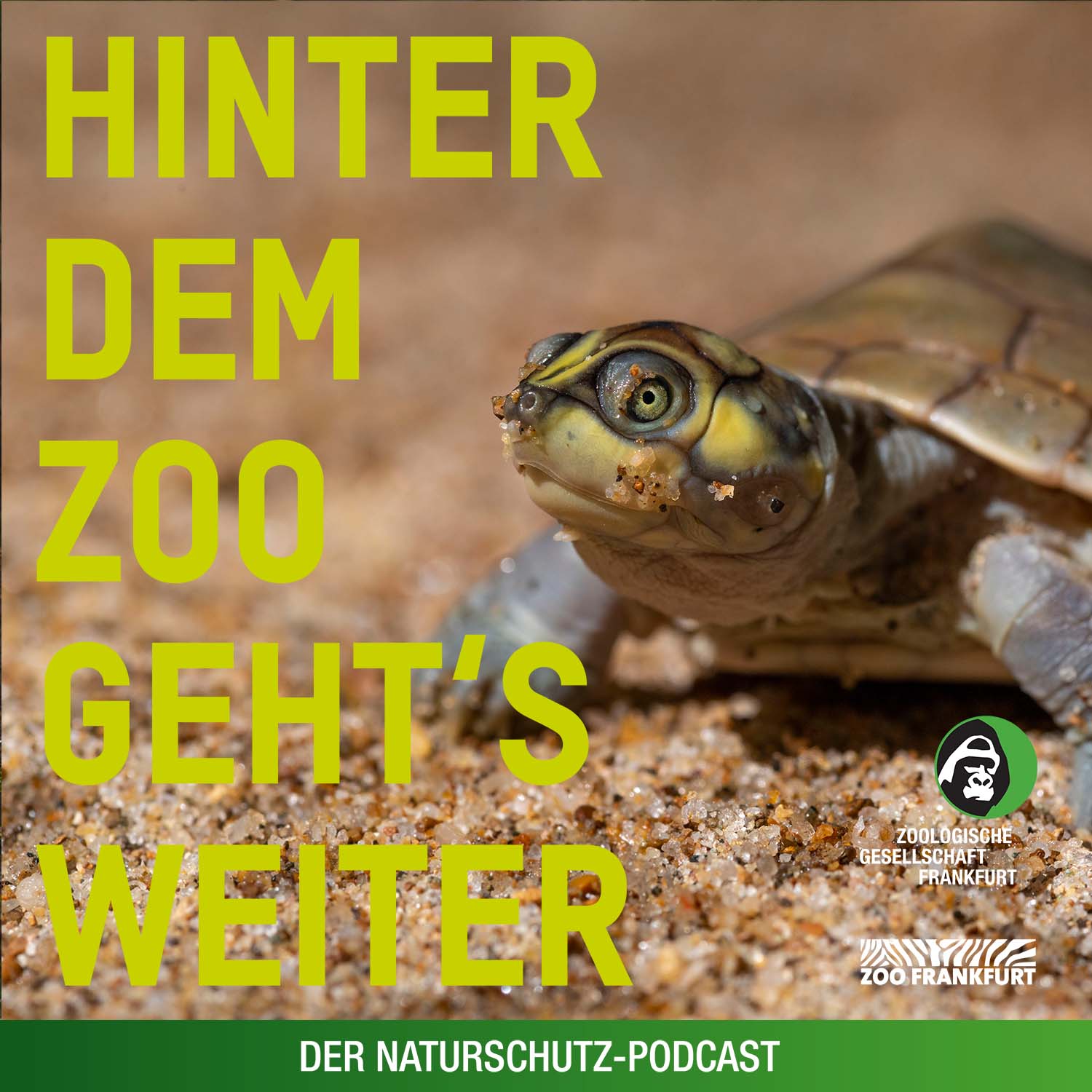 Hinter dem Zoo geht\'s weiter - Der Naturschutzpodcast aus Frankfurt