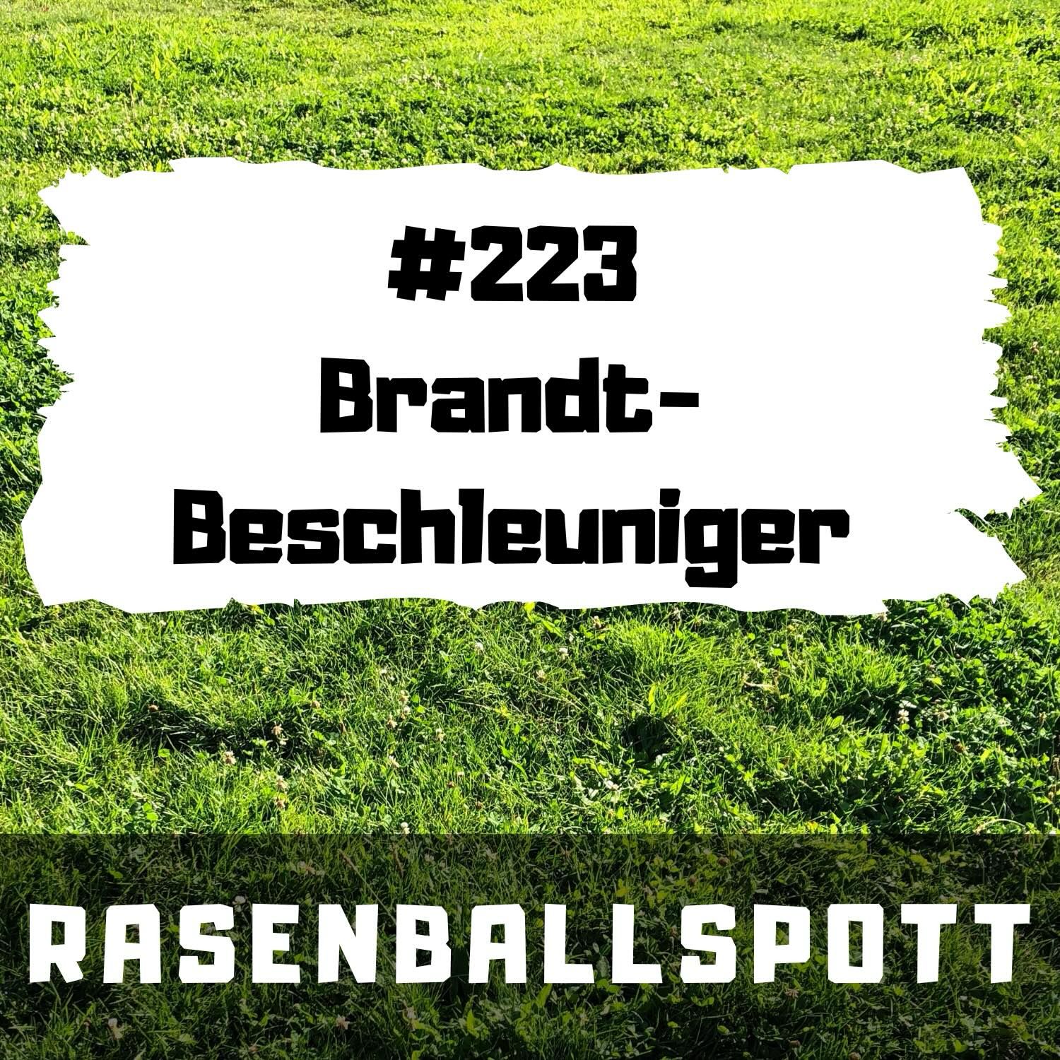 RASENBALLSPOTT