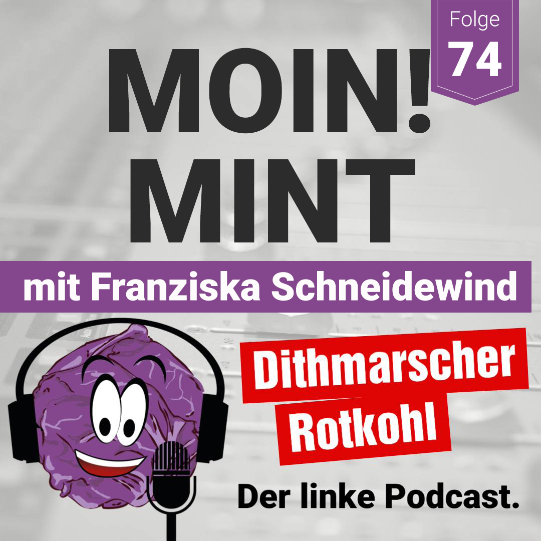 Moin! MINT - mit Franziska Schneidewind