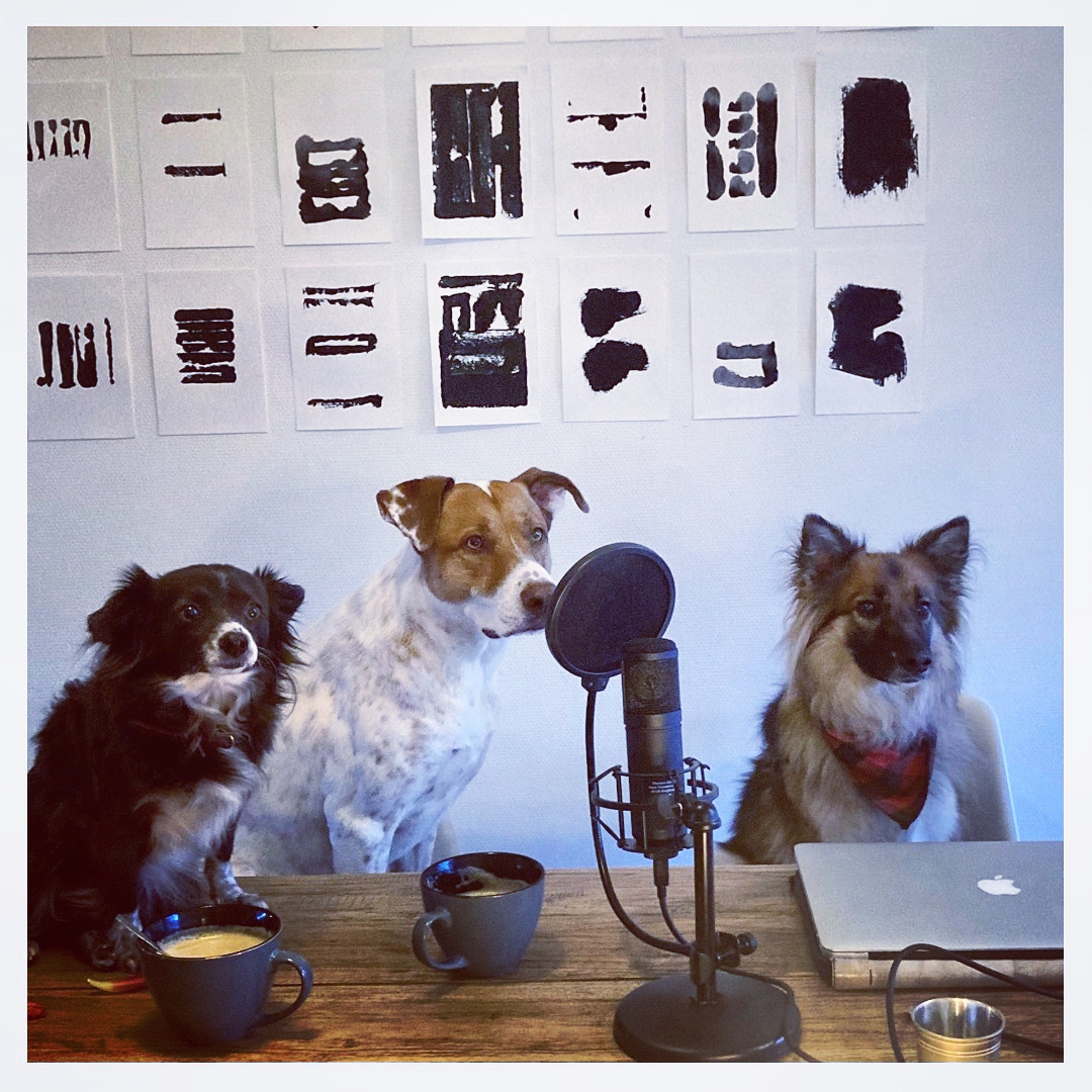 Frei Schnauze! Der Podcast von Hund&Co