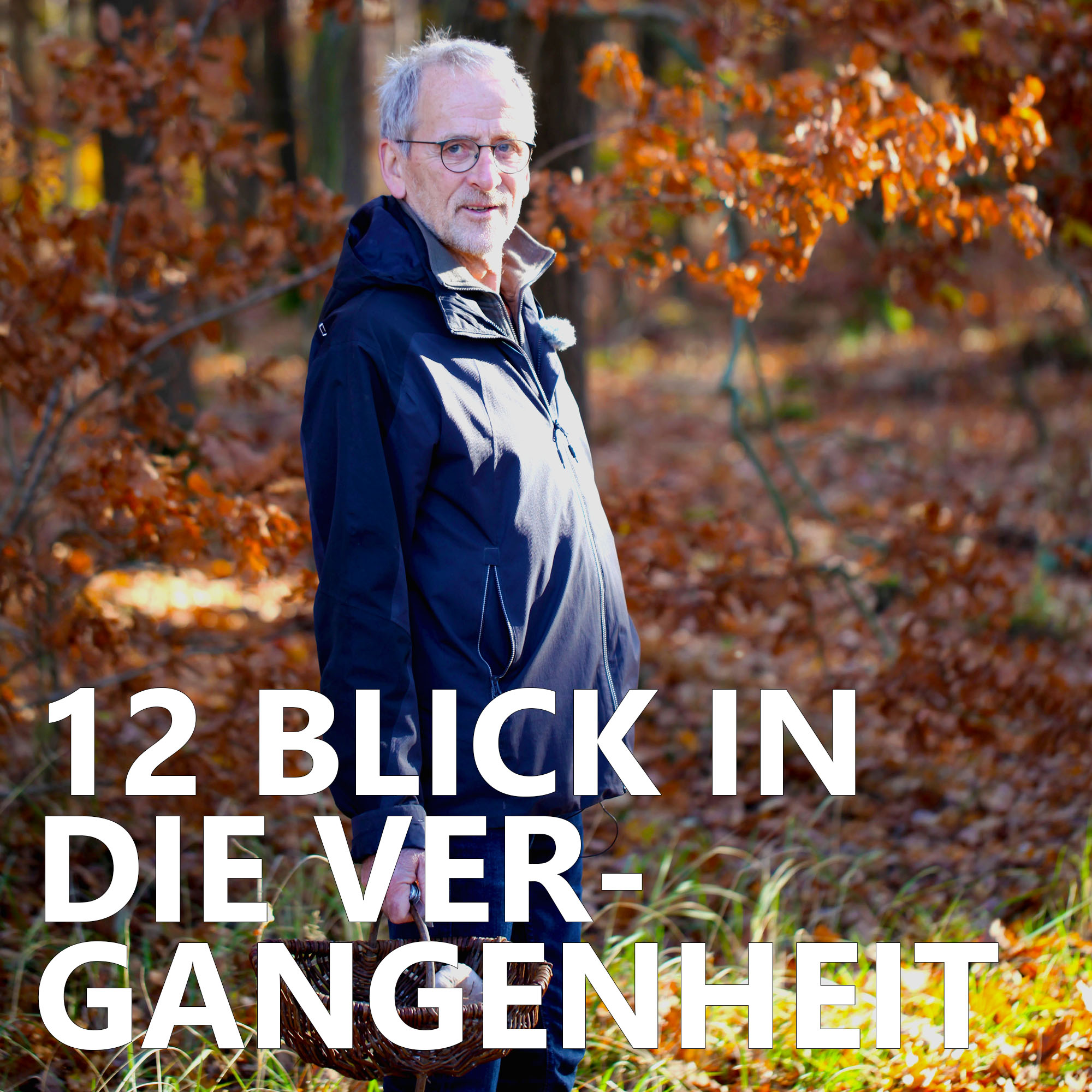 Der Pilzpodcast